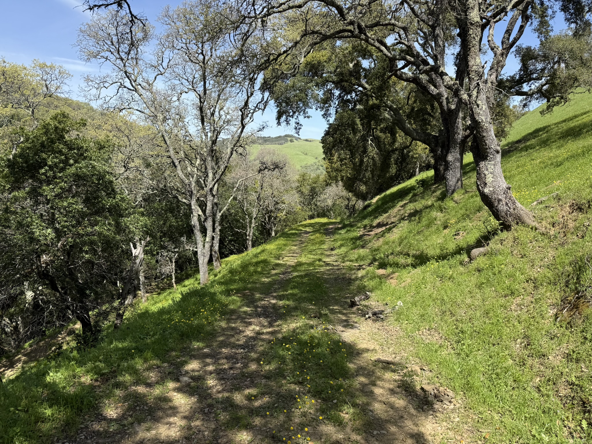 Morgan Territory Regional Preserve
