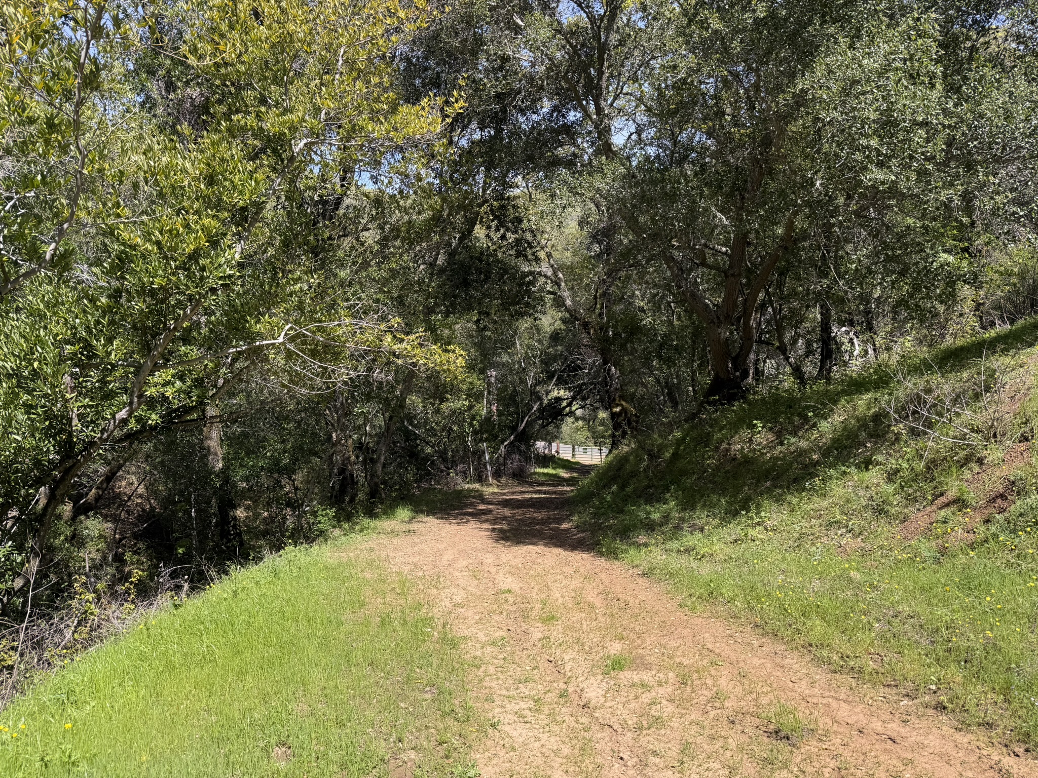 Morgan Territory Regional Preserve