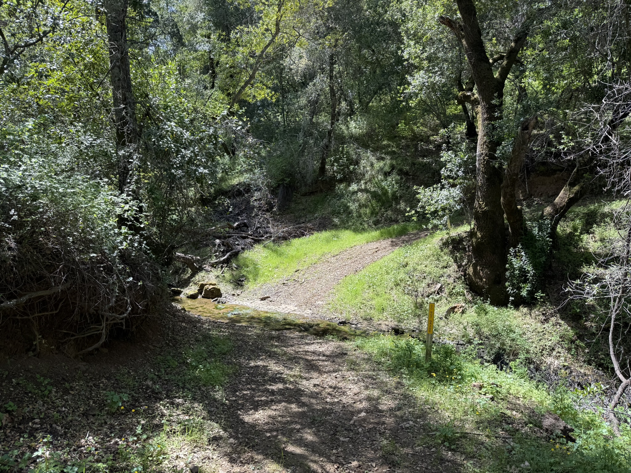 Morgan Territory Regional Preserve