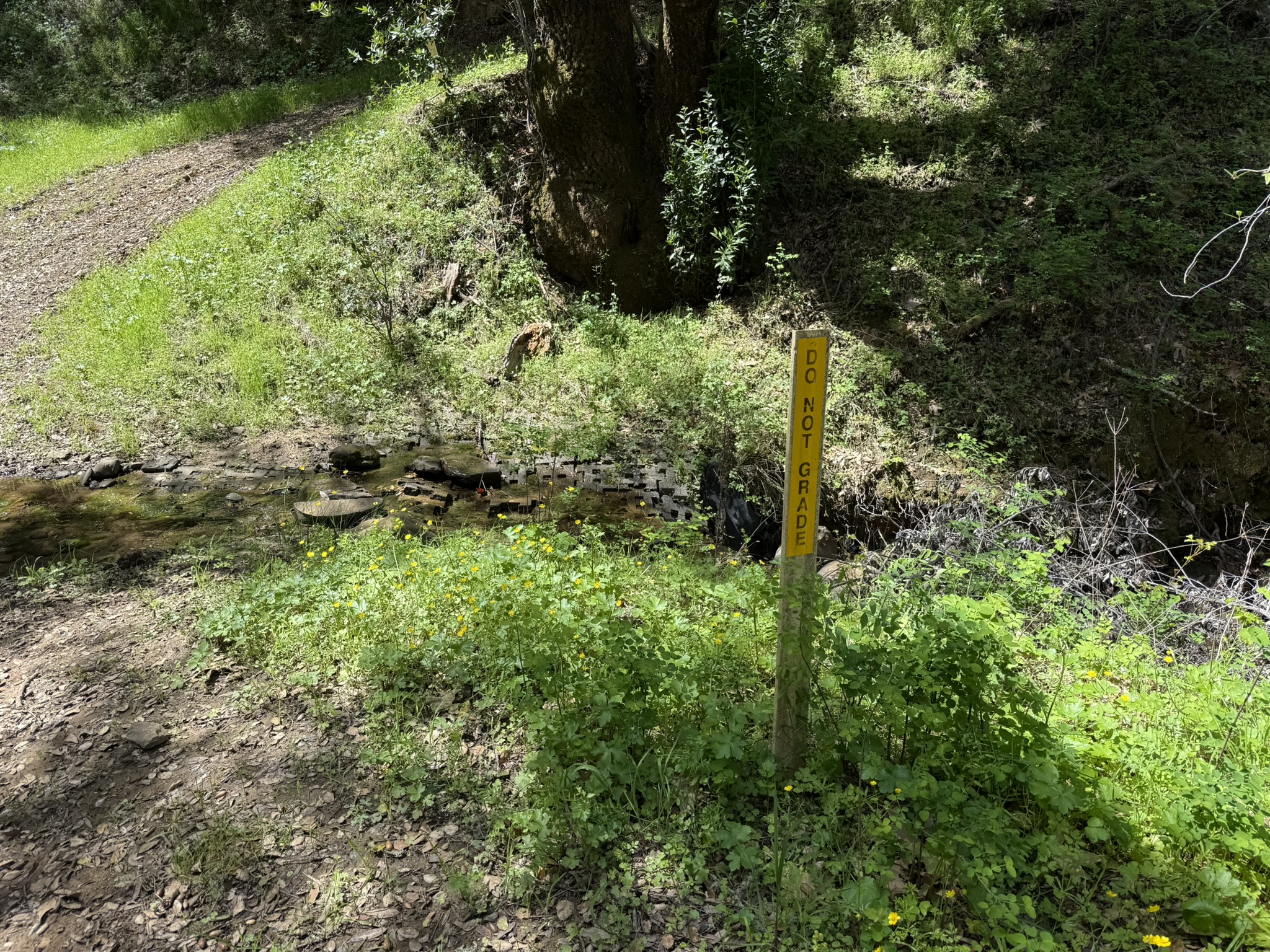 Morgan Territory Regional Preserve