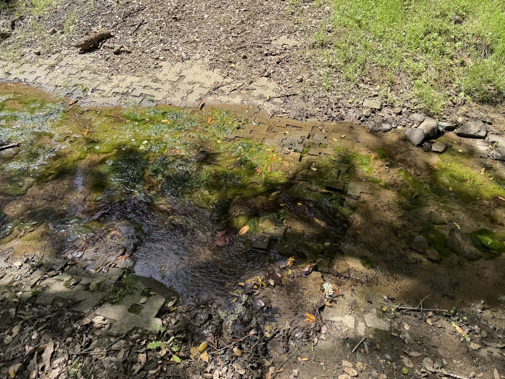 Morgan Territory Regional Preserve