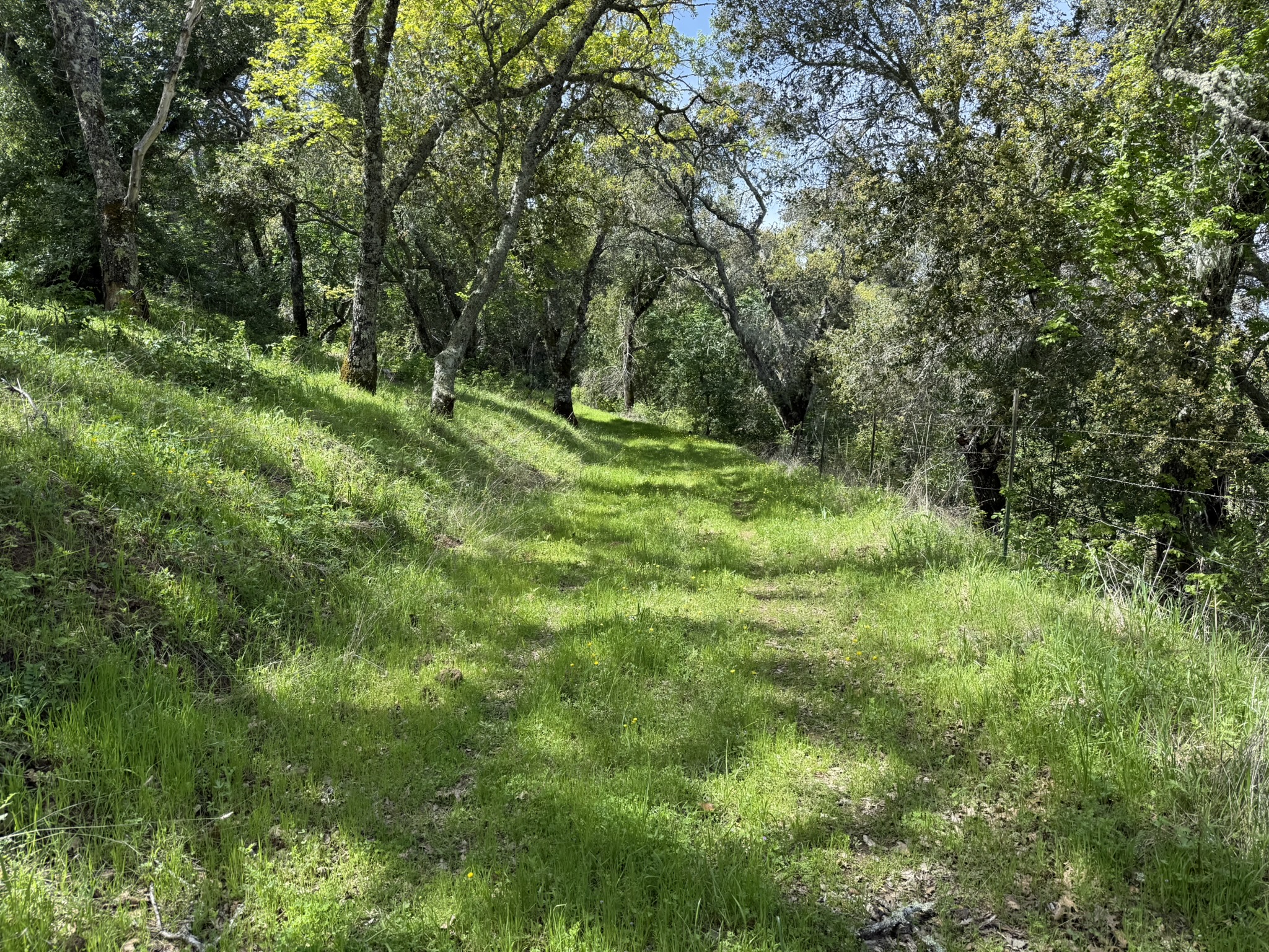 Morgan Territory Regional Preserve