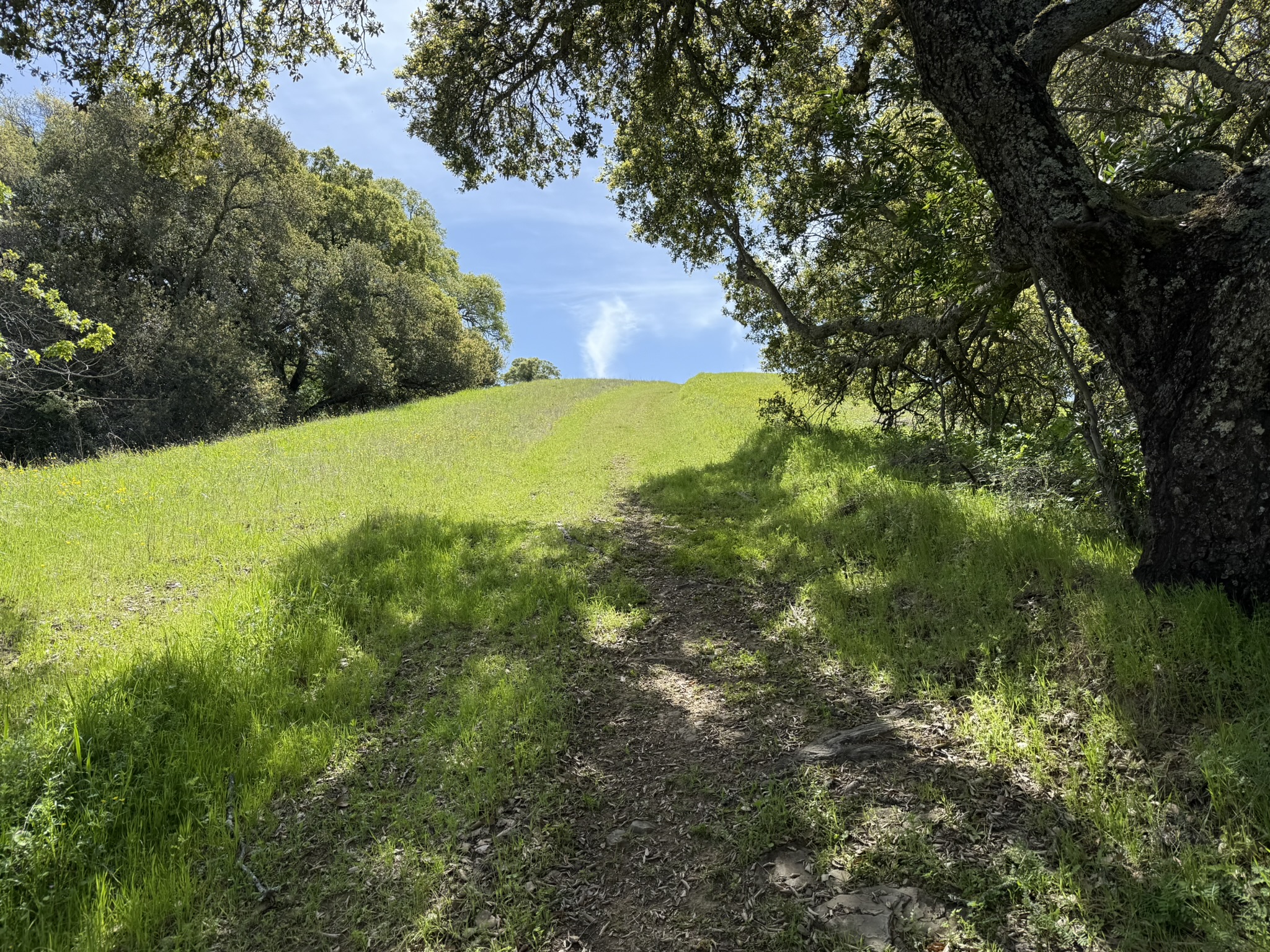Morgan Territory Regional Preserve