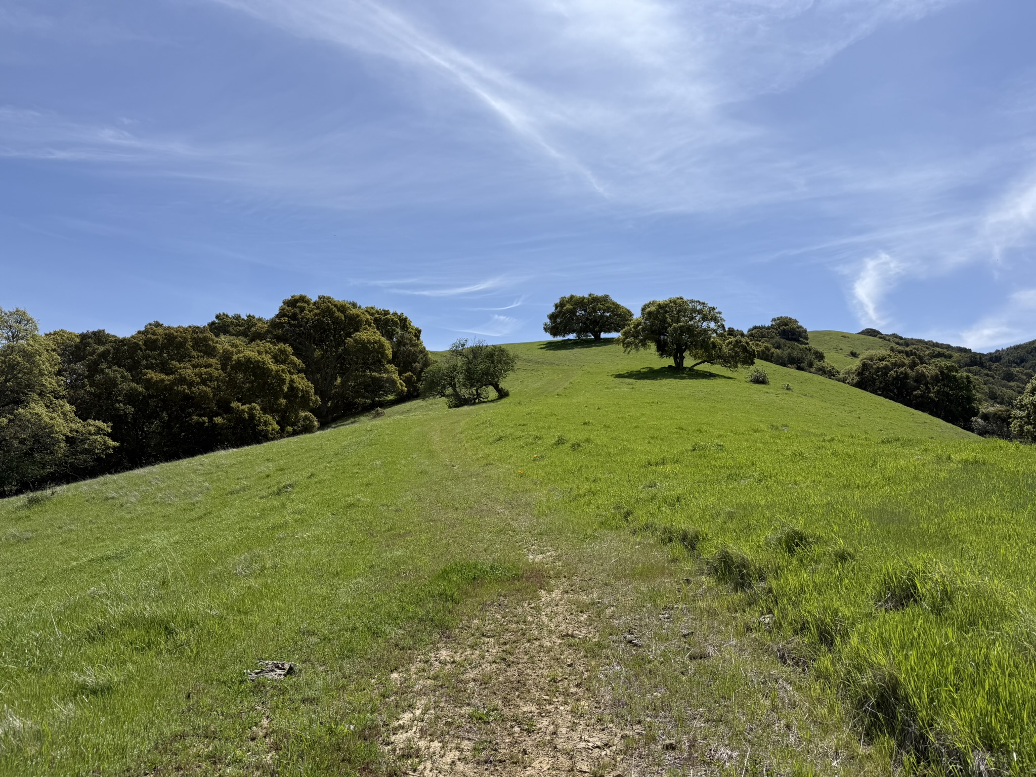 Morgan Territory Regional Preserve