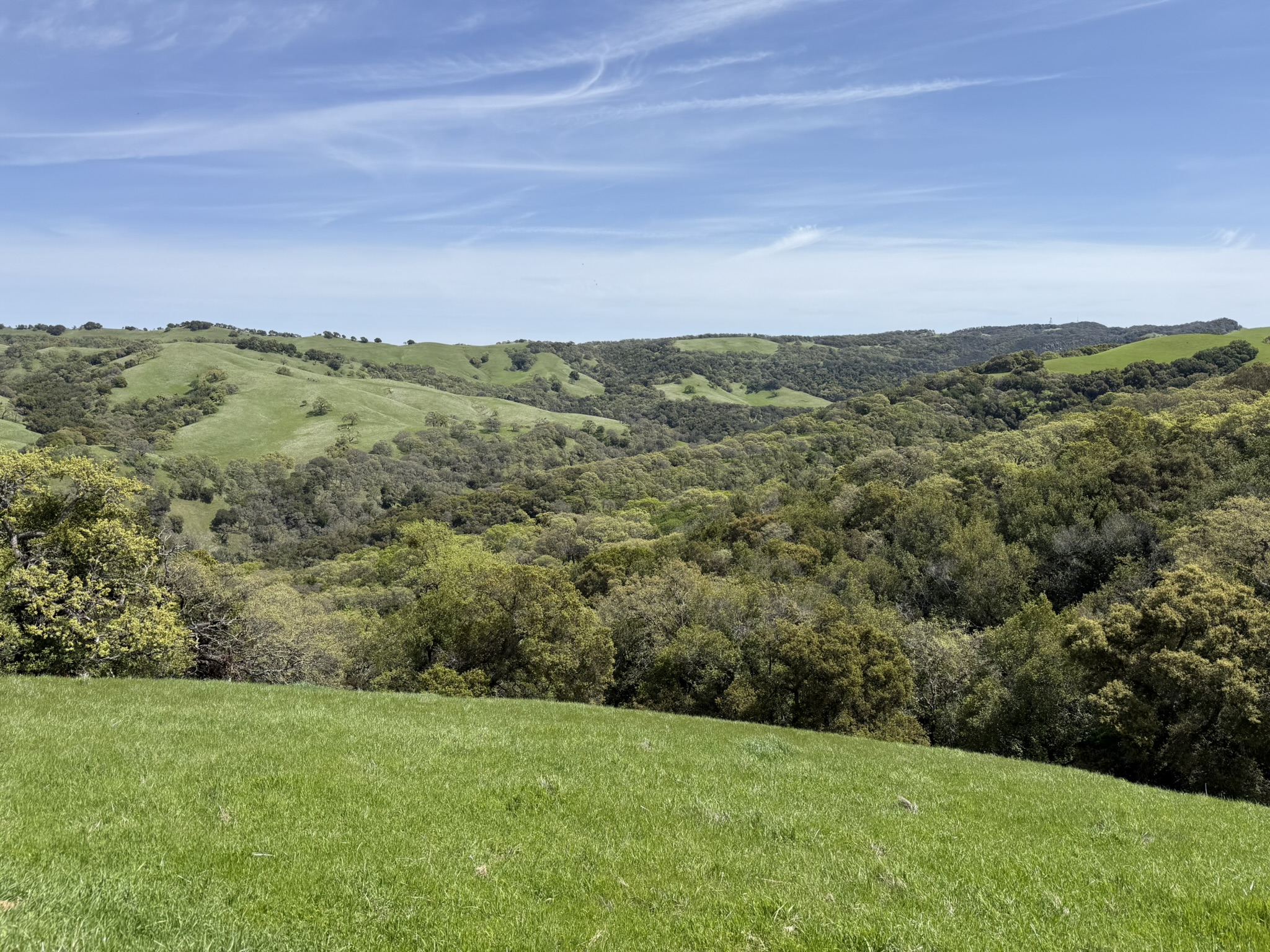 Morgan Territory Regional Preserve