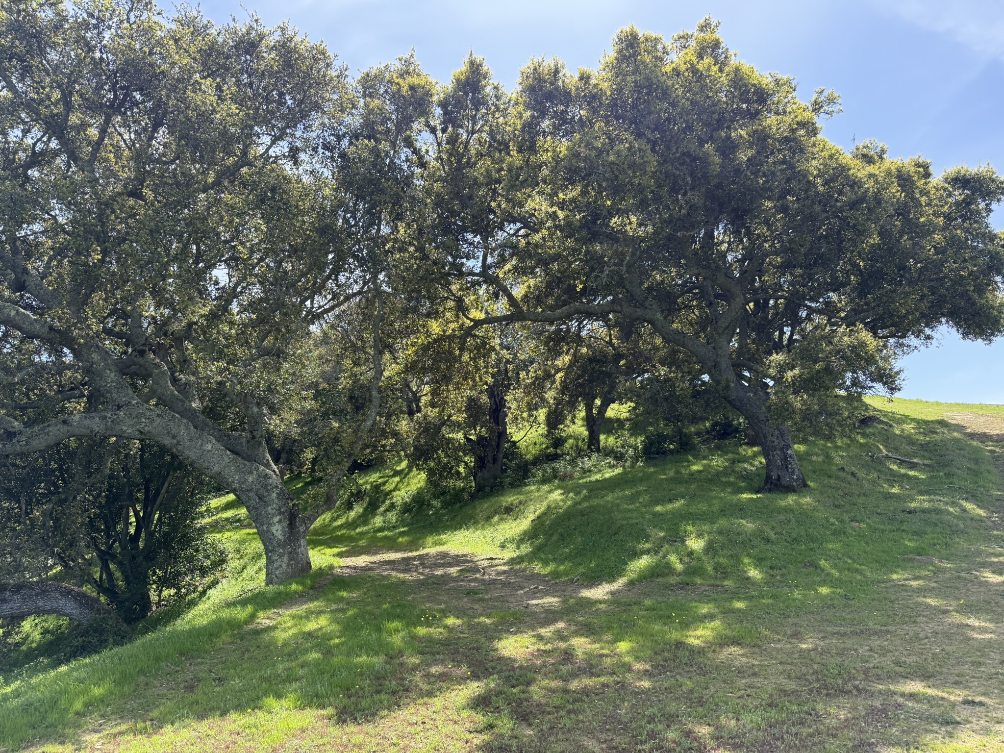Morgan Territory Regional Preserve