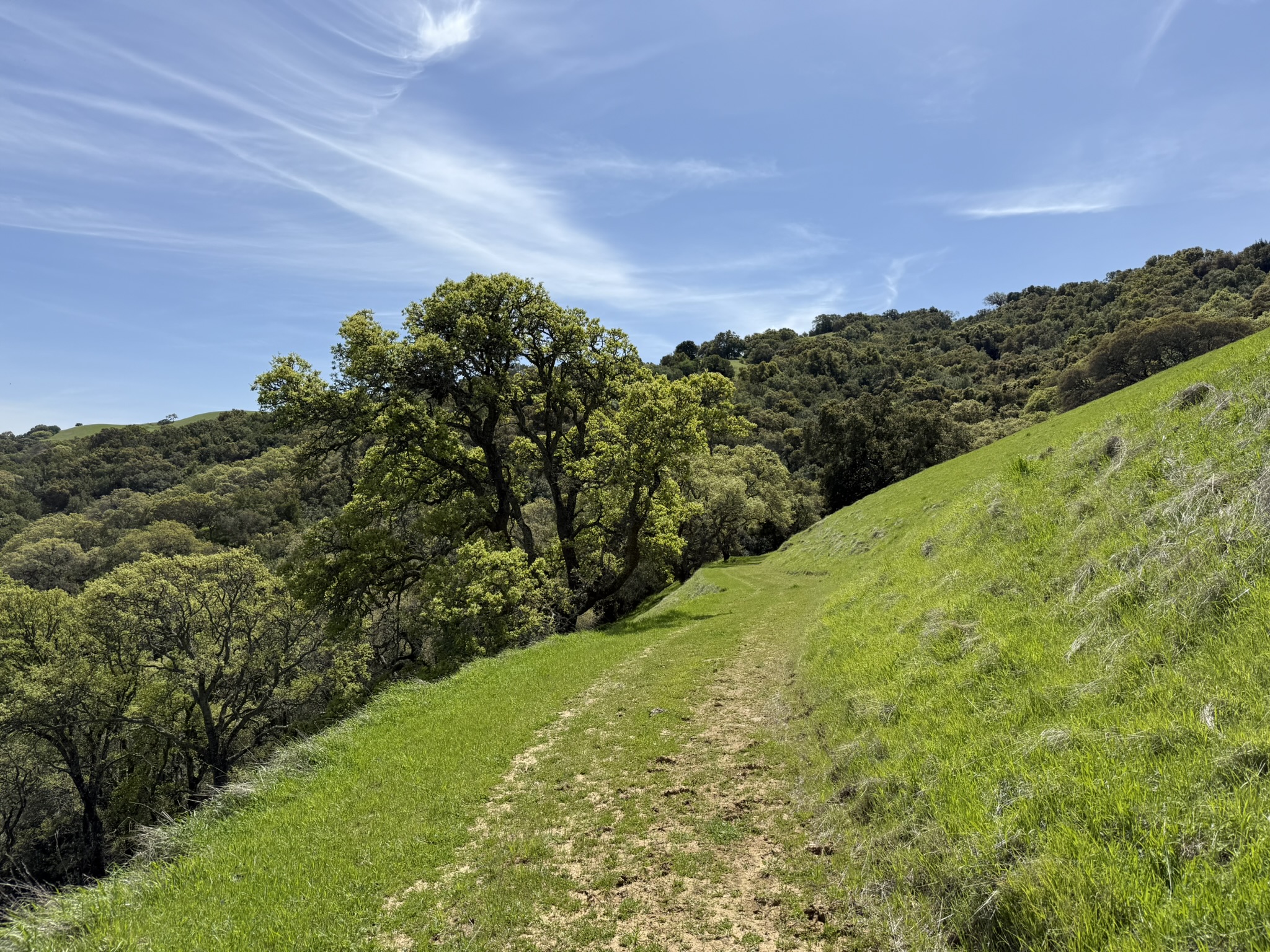 Morgan Territory Regional Preserve