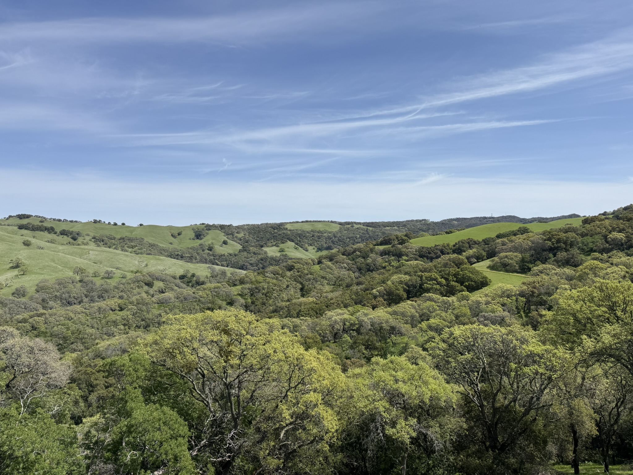Morgan Territory Regional Preserve