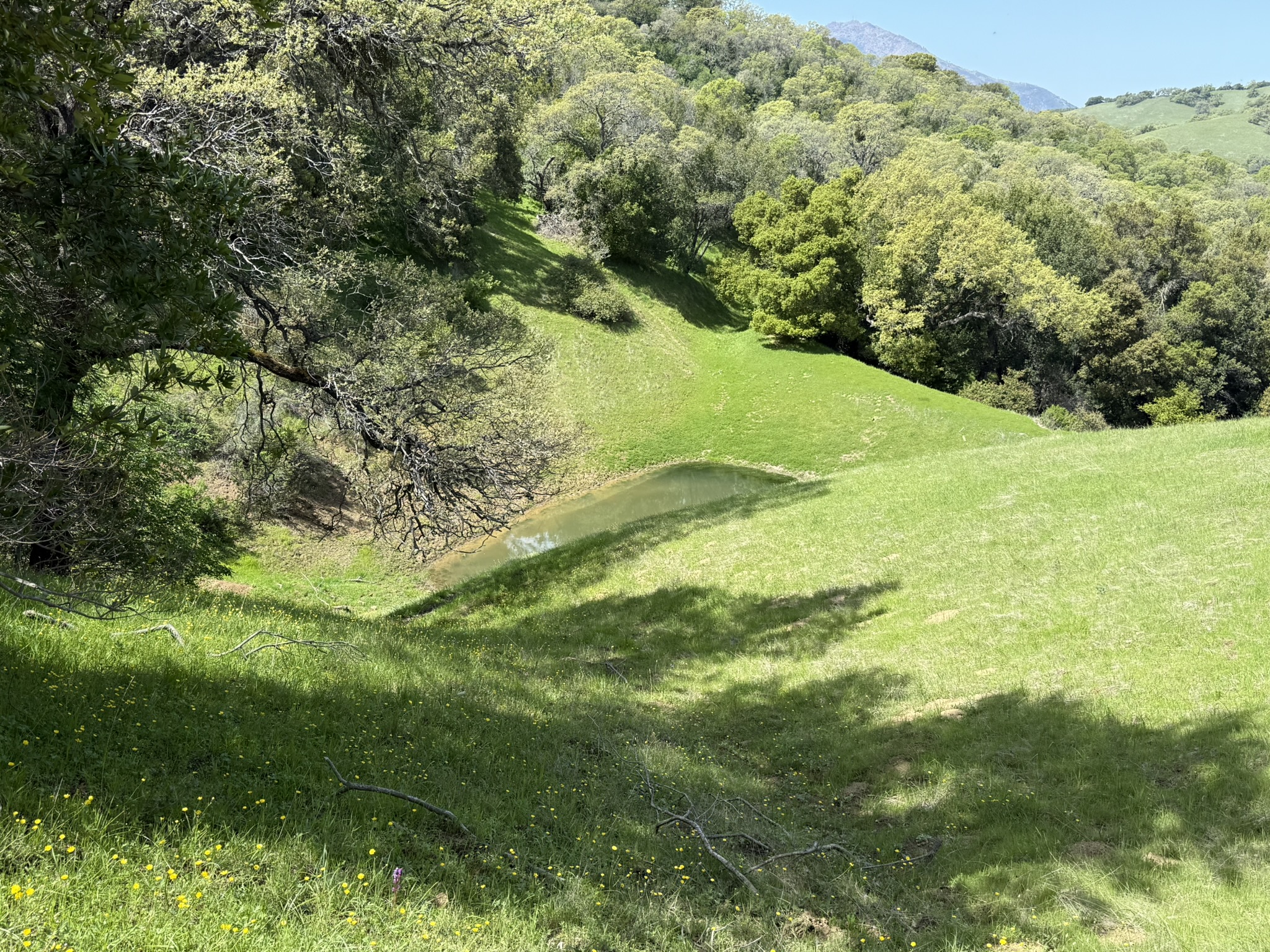 Morgan Territory Regional Preserve