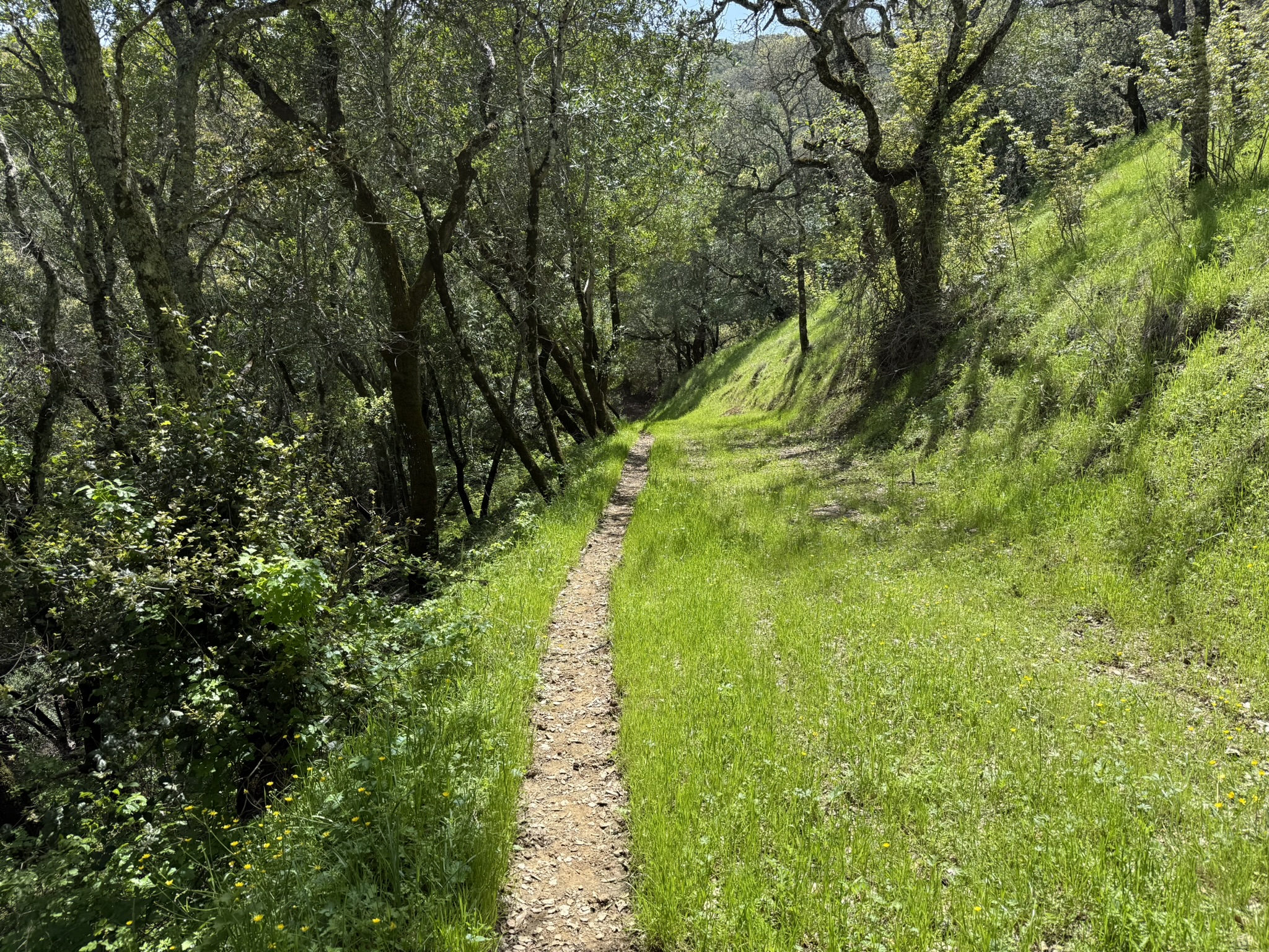 Morgan Territory Regional Preserve