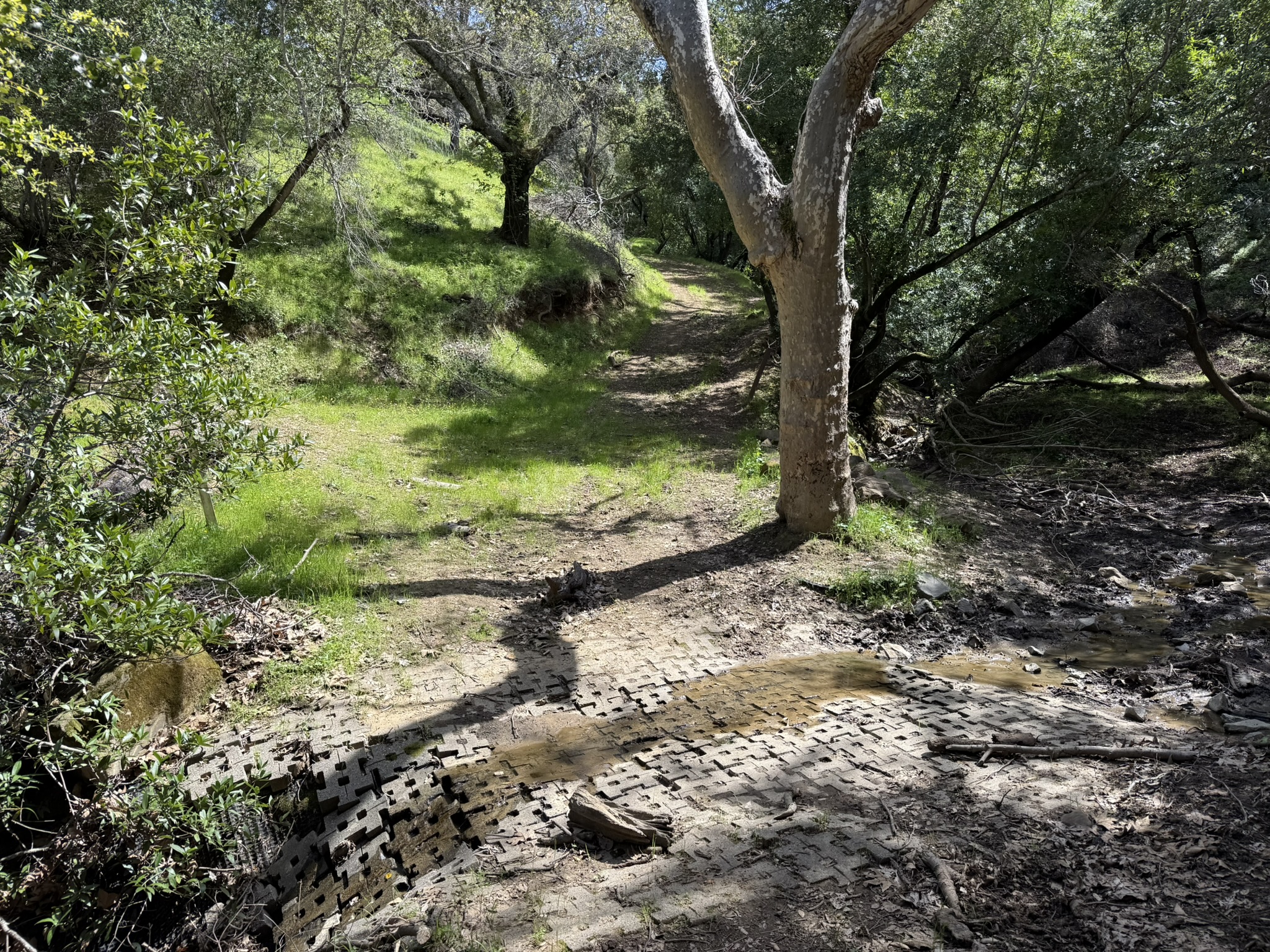 Morgan Territory Regional Preserve