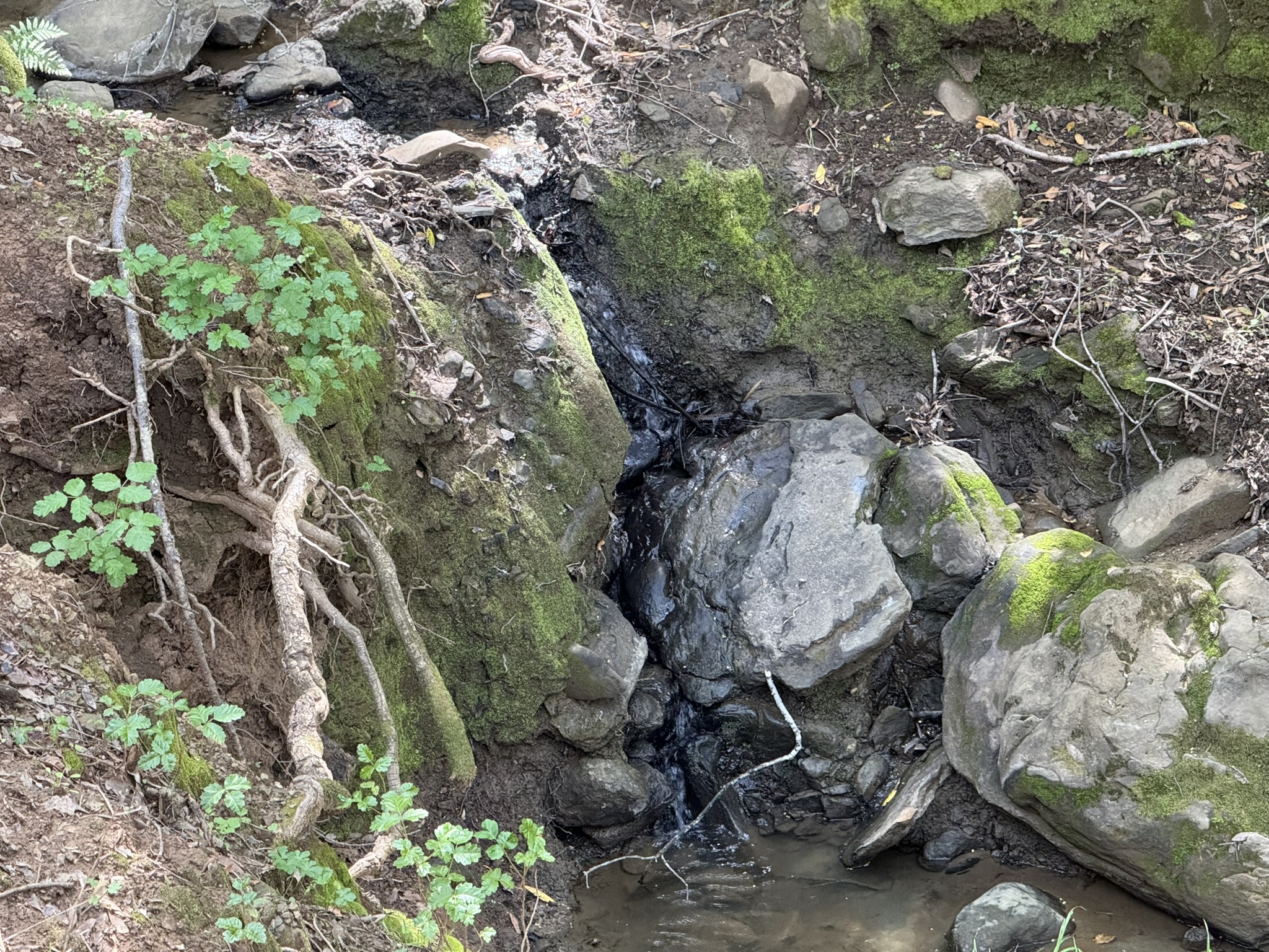 Morgan Territory Regional Preserve