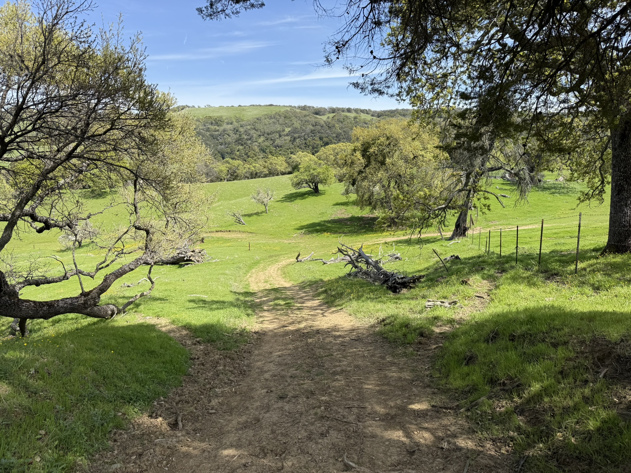Morgan Territory Regional Preserve