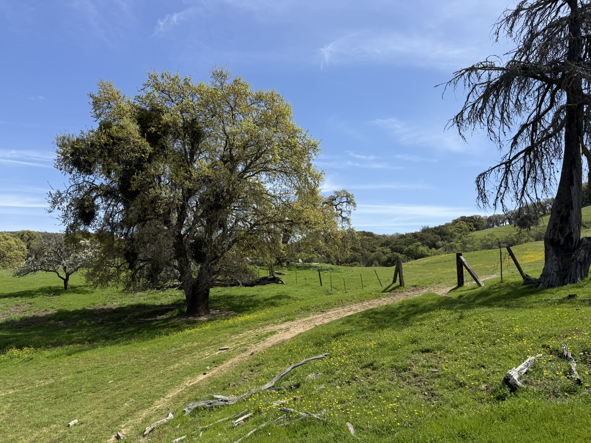 Morgan Territory Regional Preserve