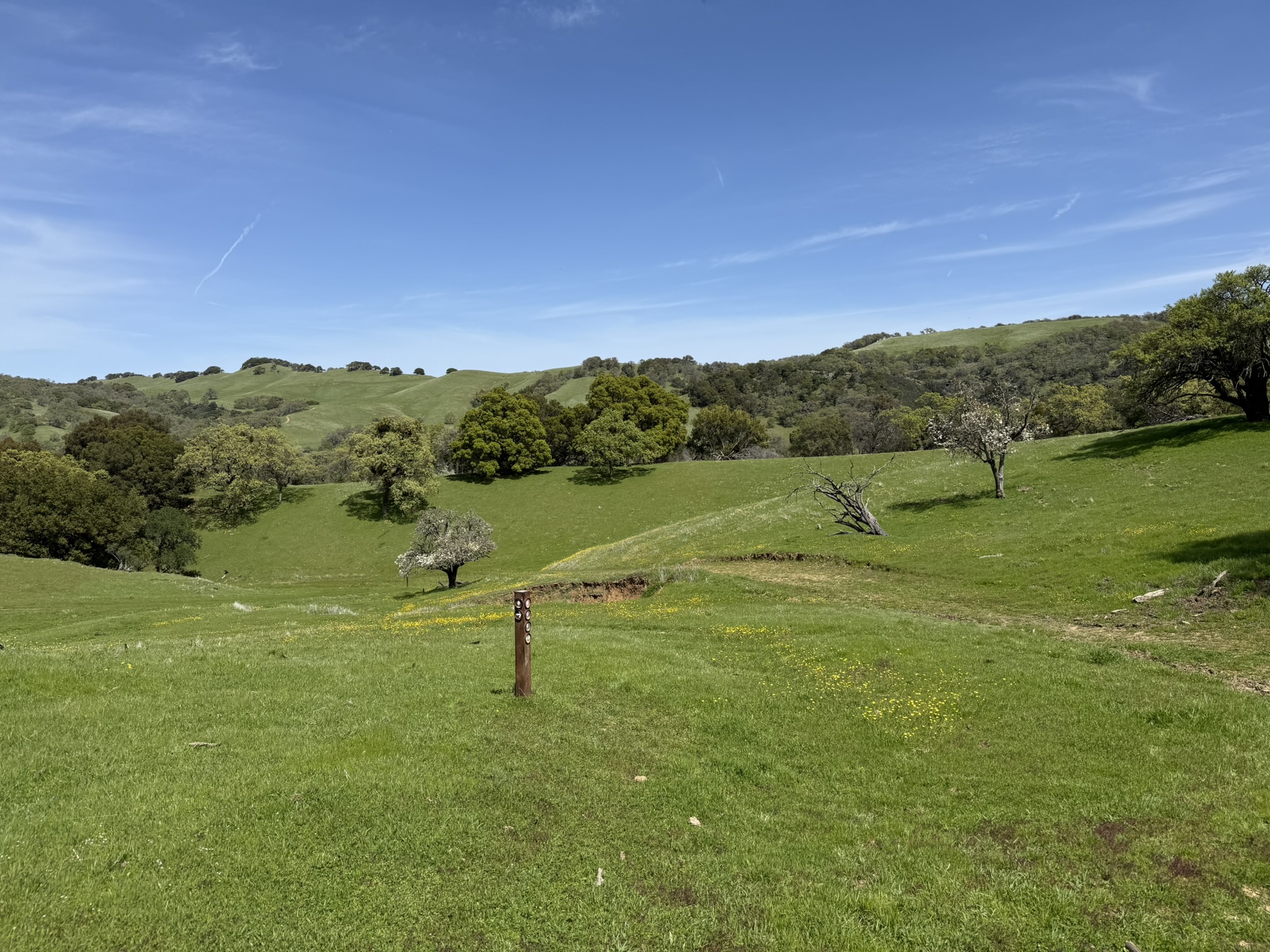 Morgan Territory Regional Preserve