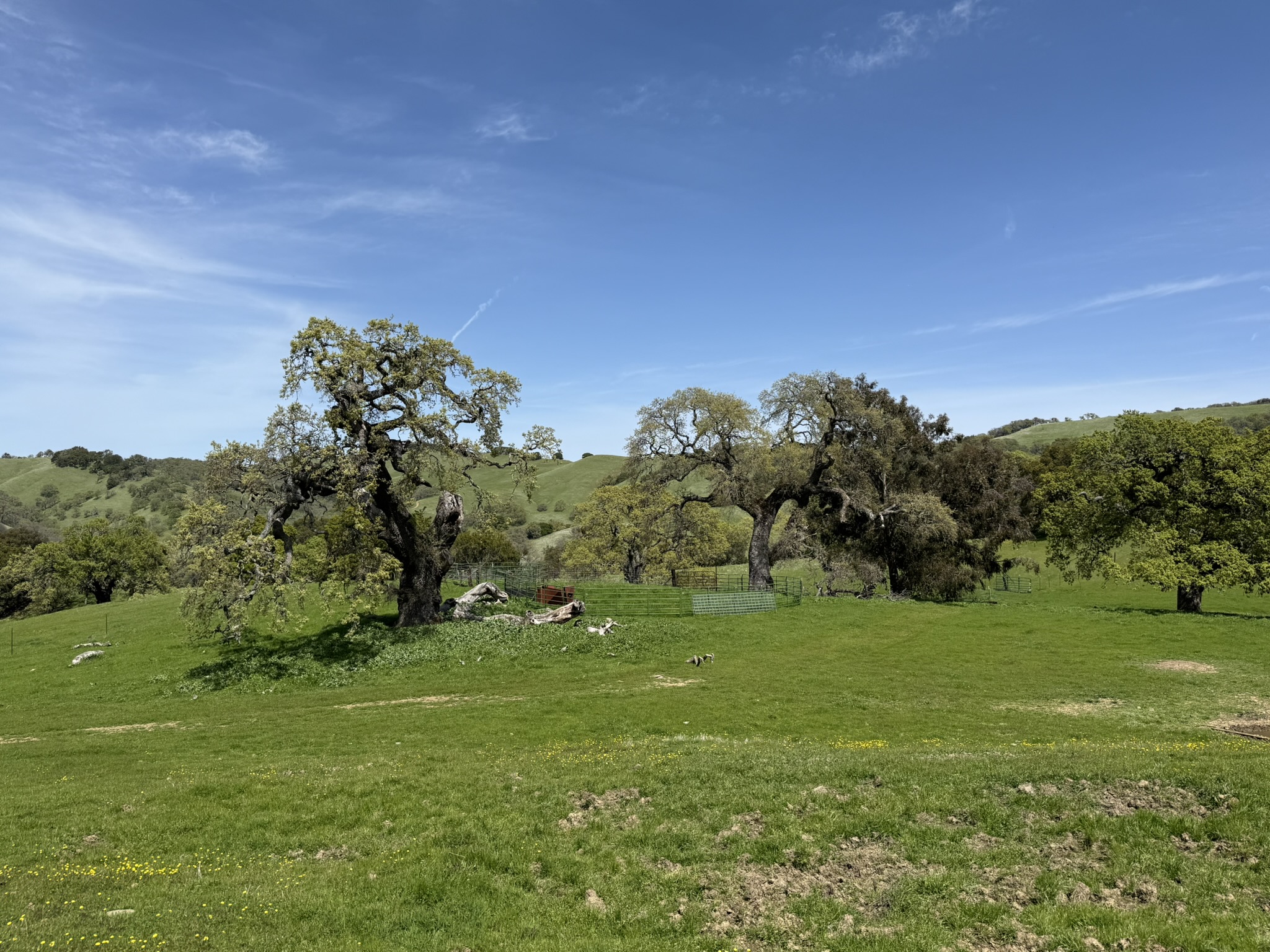 Morgan Territory Regional Preserve