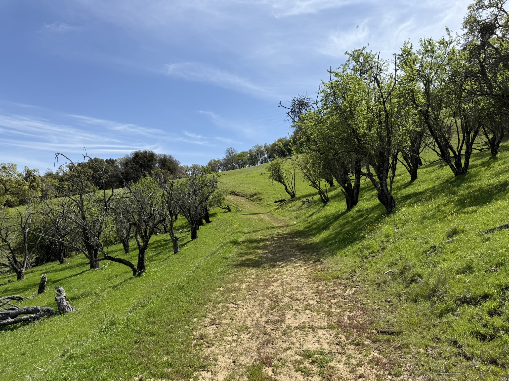 Morgan Territory Regional Preserve