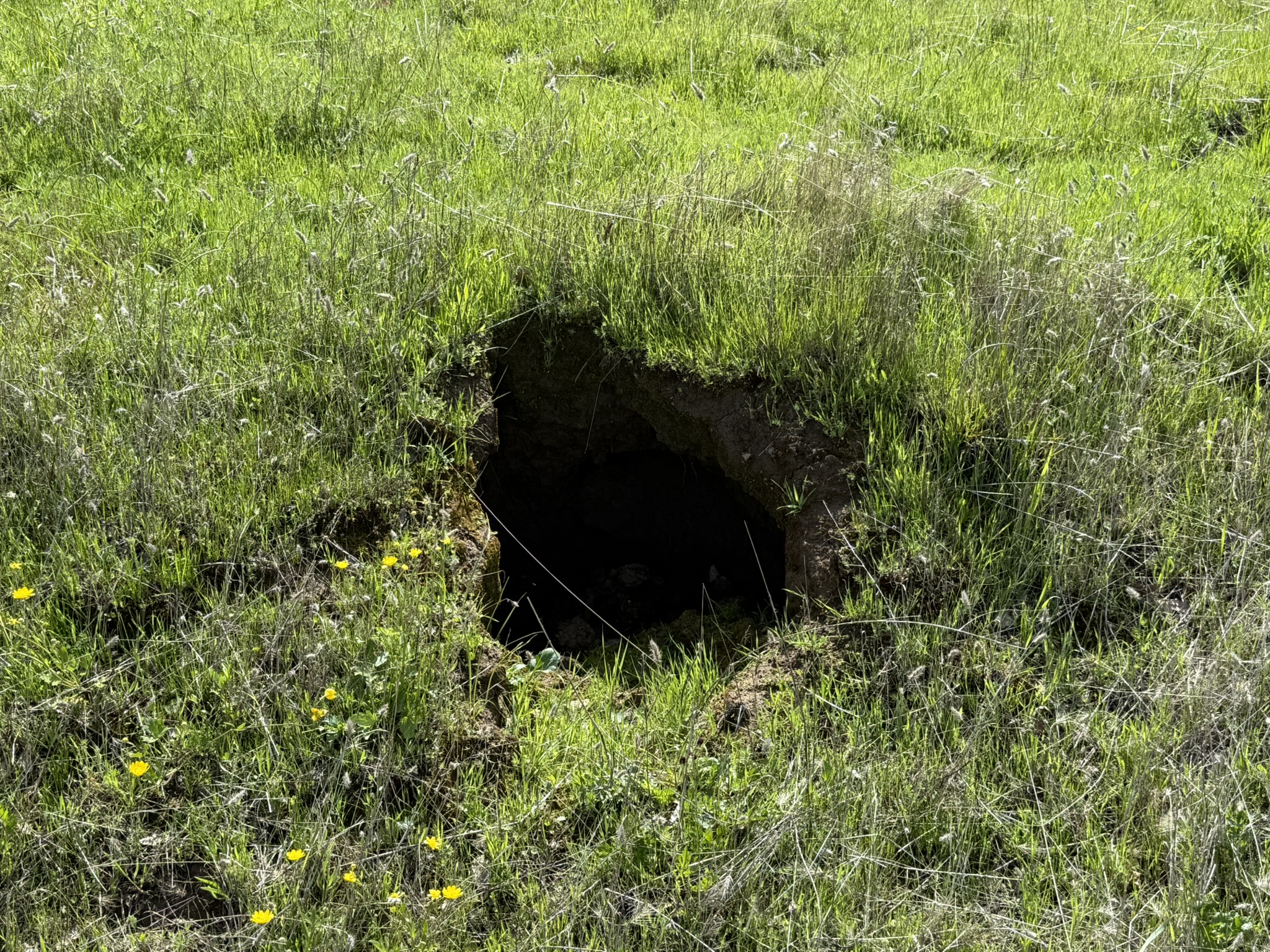 Morgan Territory Regional Preserve