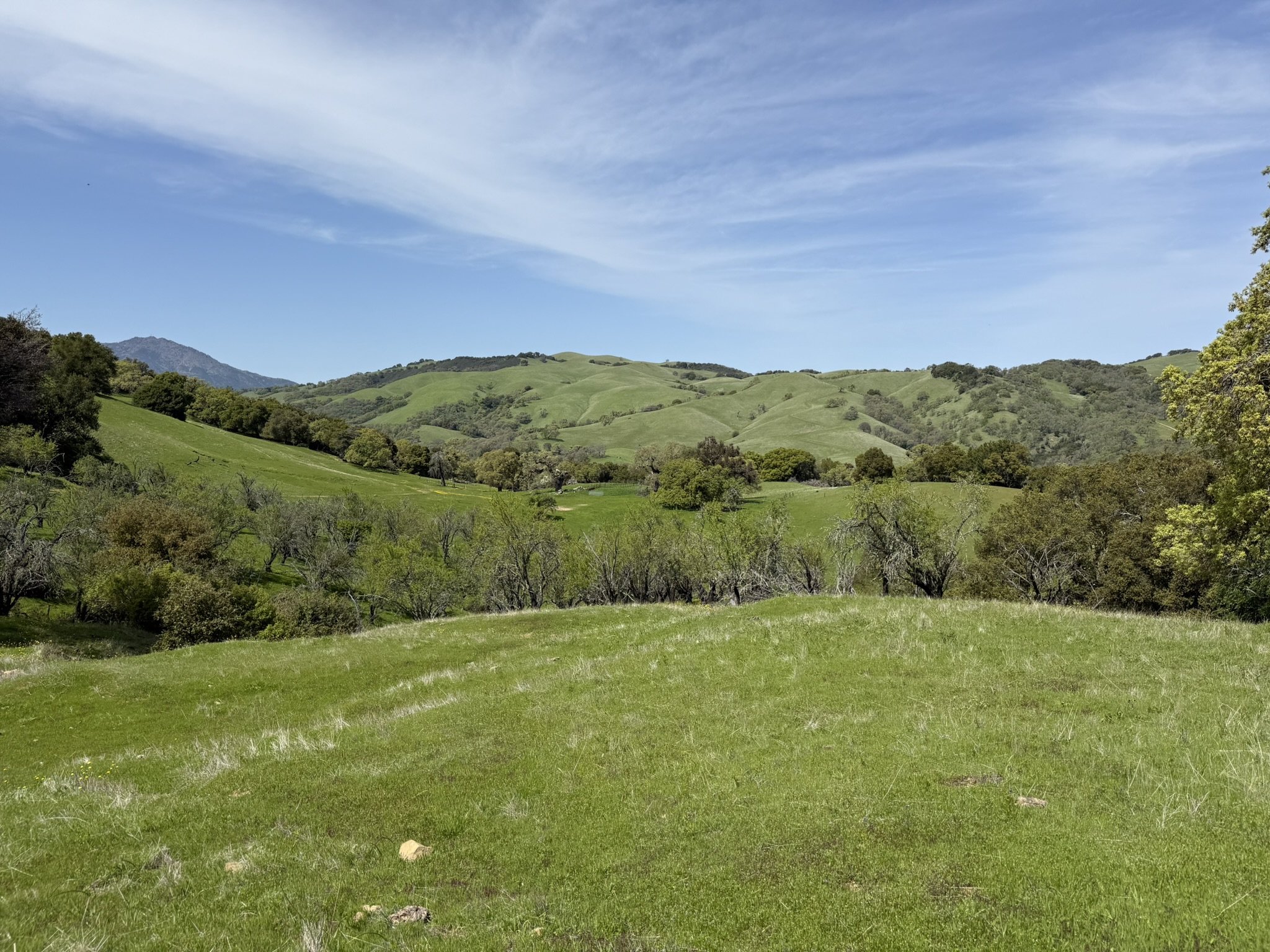 Morgan Territory Regional Preserve