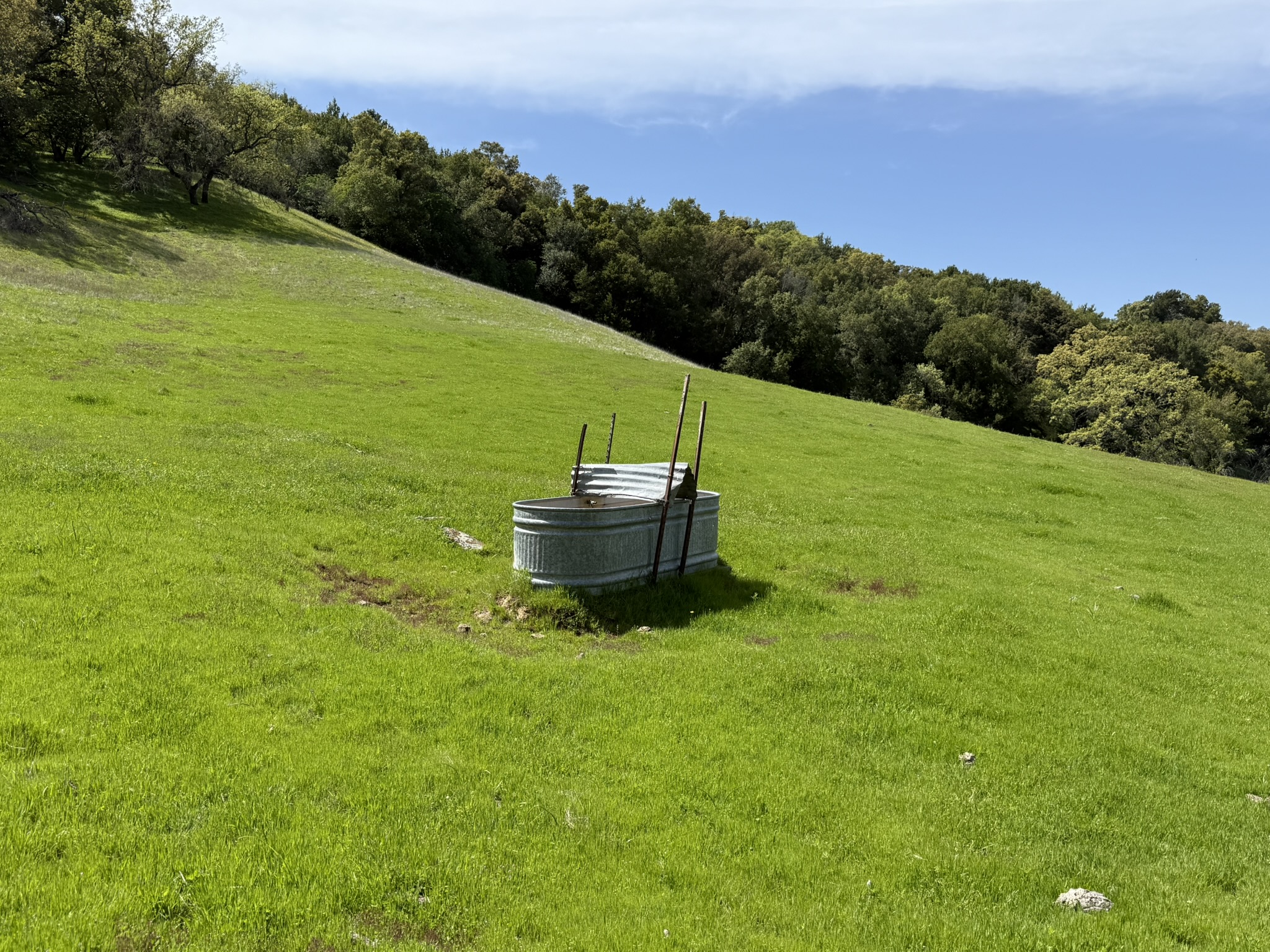 Morgan Territory Regional Preserve