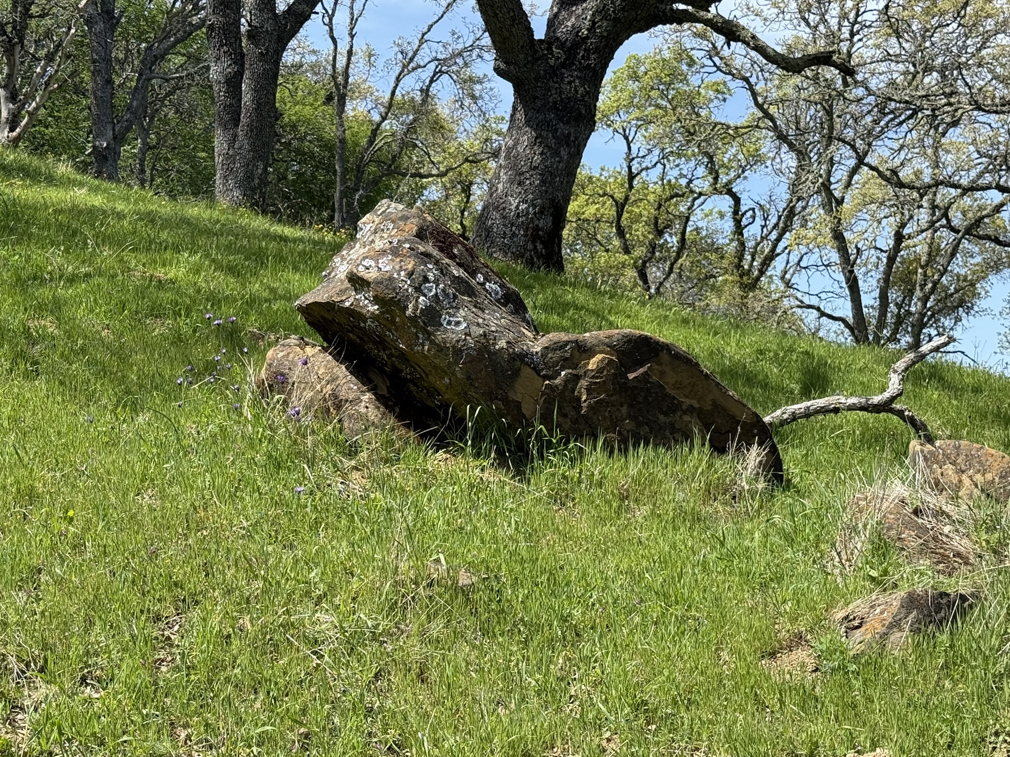 Morgan Territory Regional Preserve