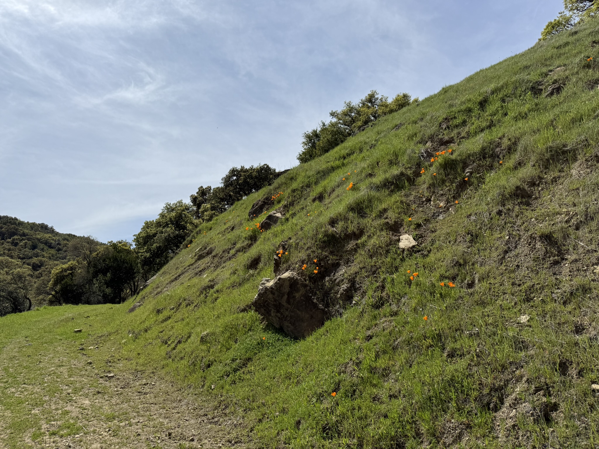 Morgan Territory Regional Preserve