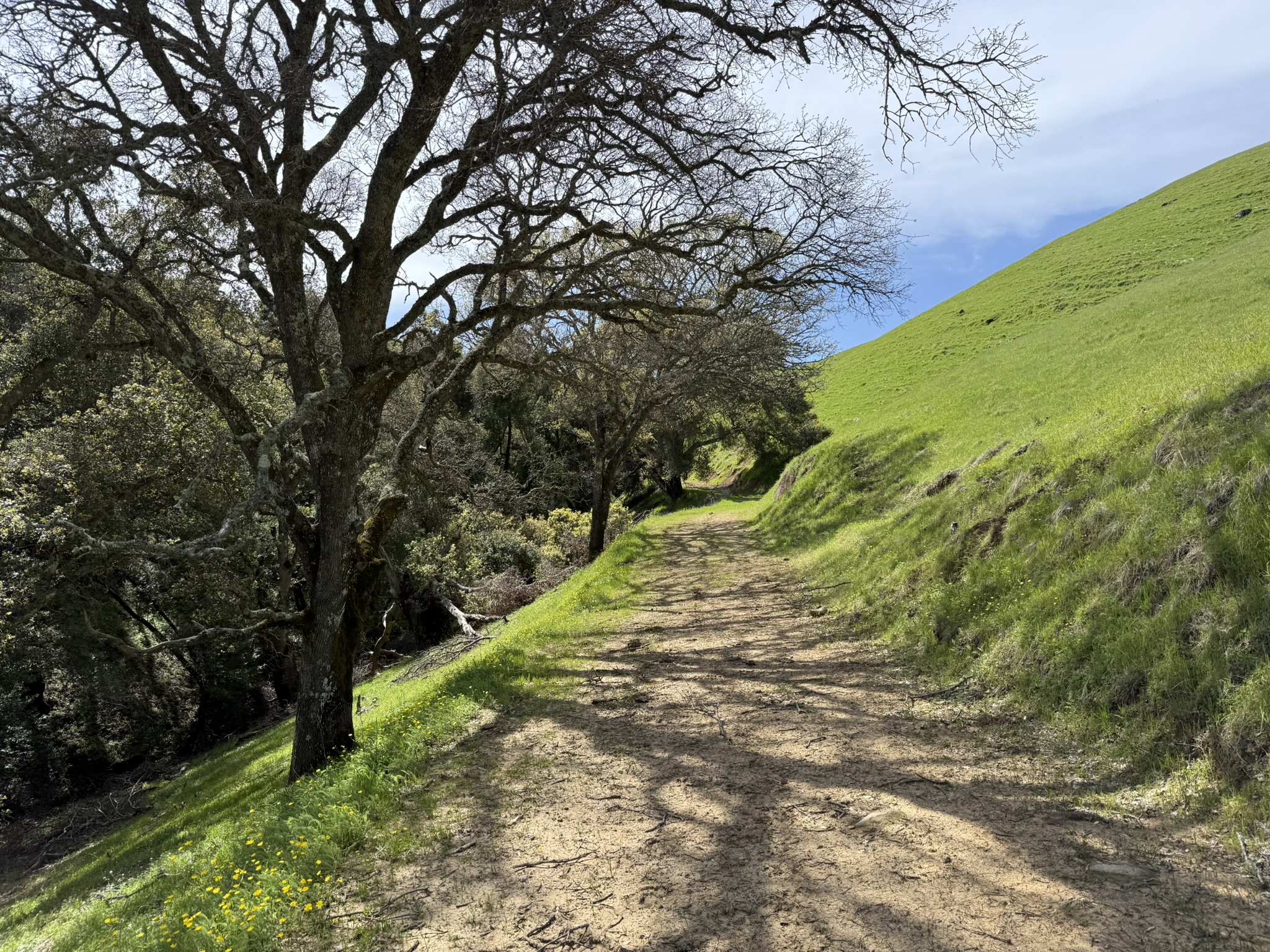Morgan Territory Regional Preserve