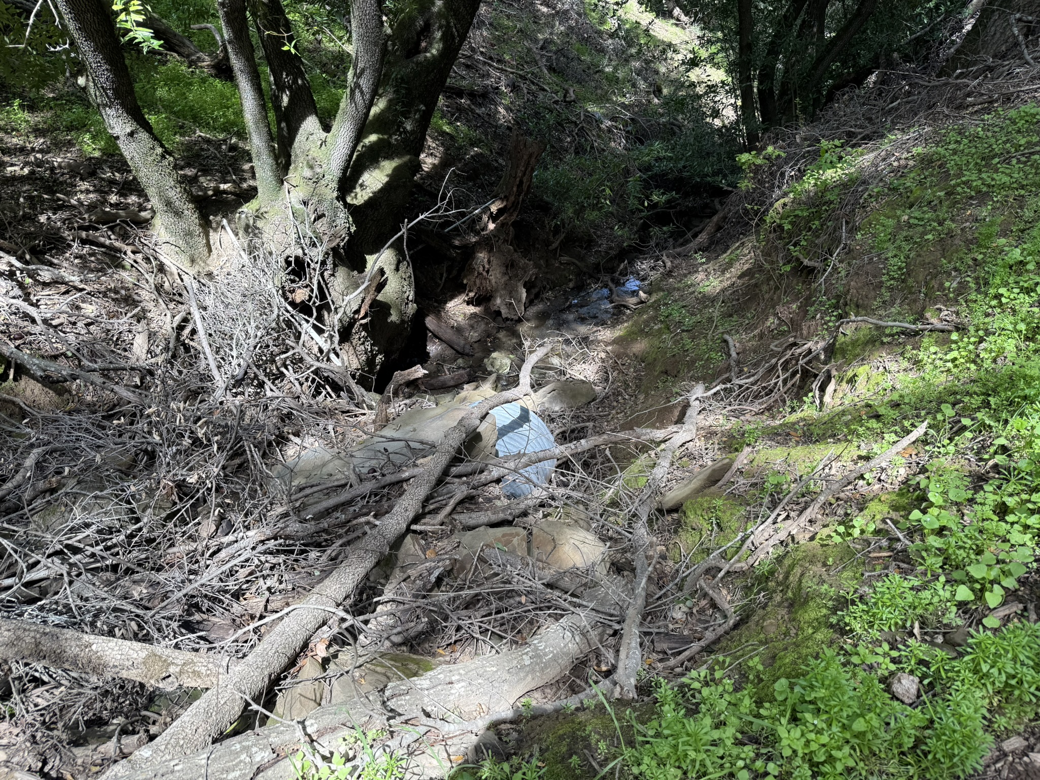 Morgan Territory Regional Preserve