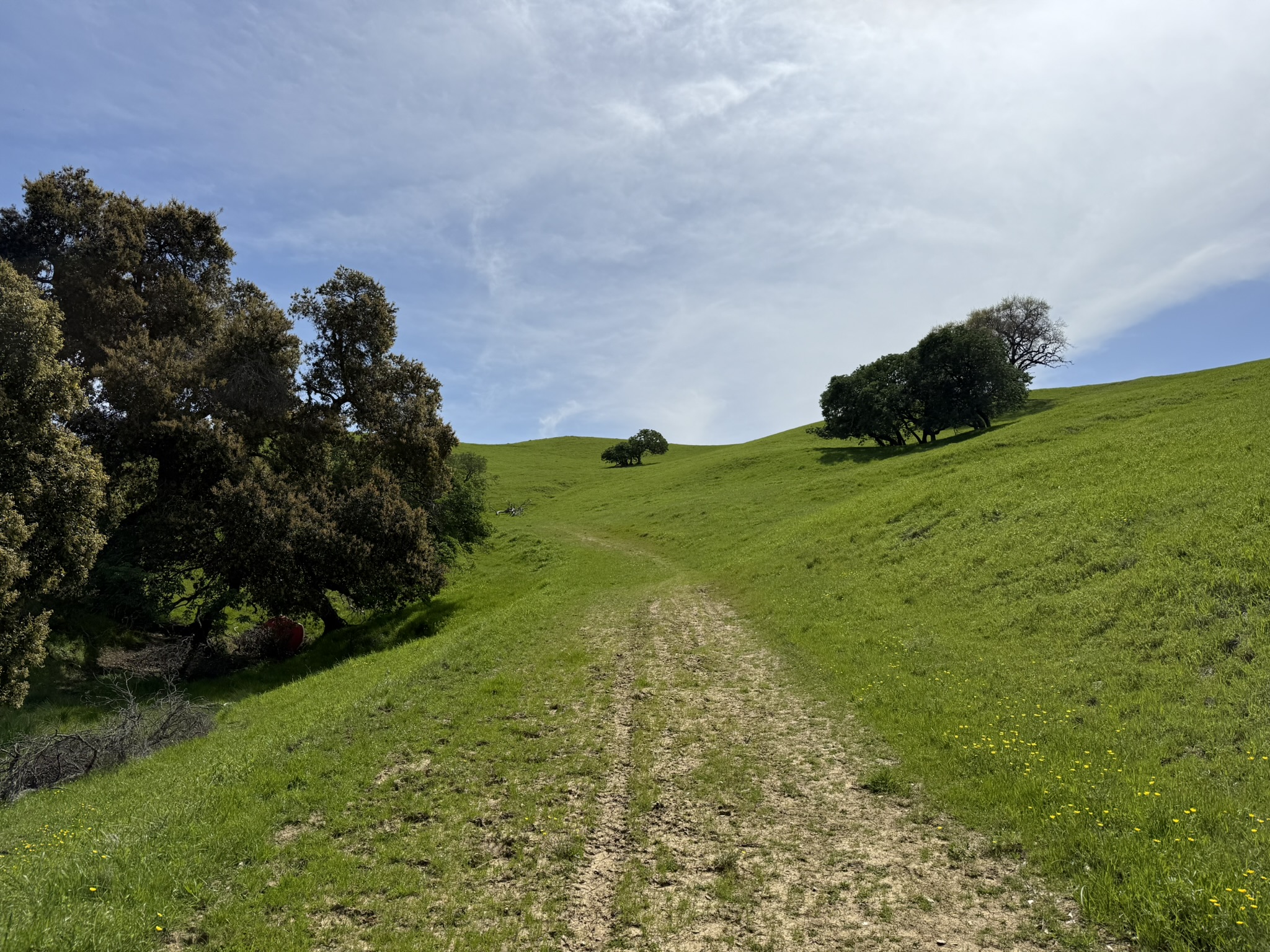 Morgan Territory Regional Preserve