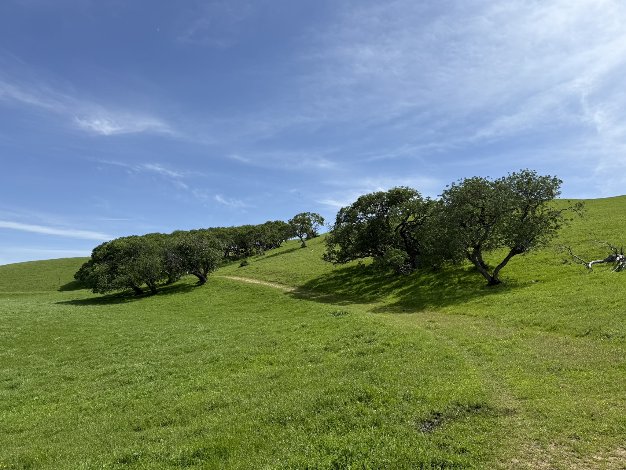 Morgan Territory Regional Preserve