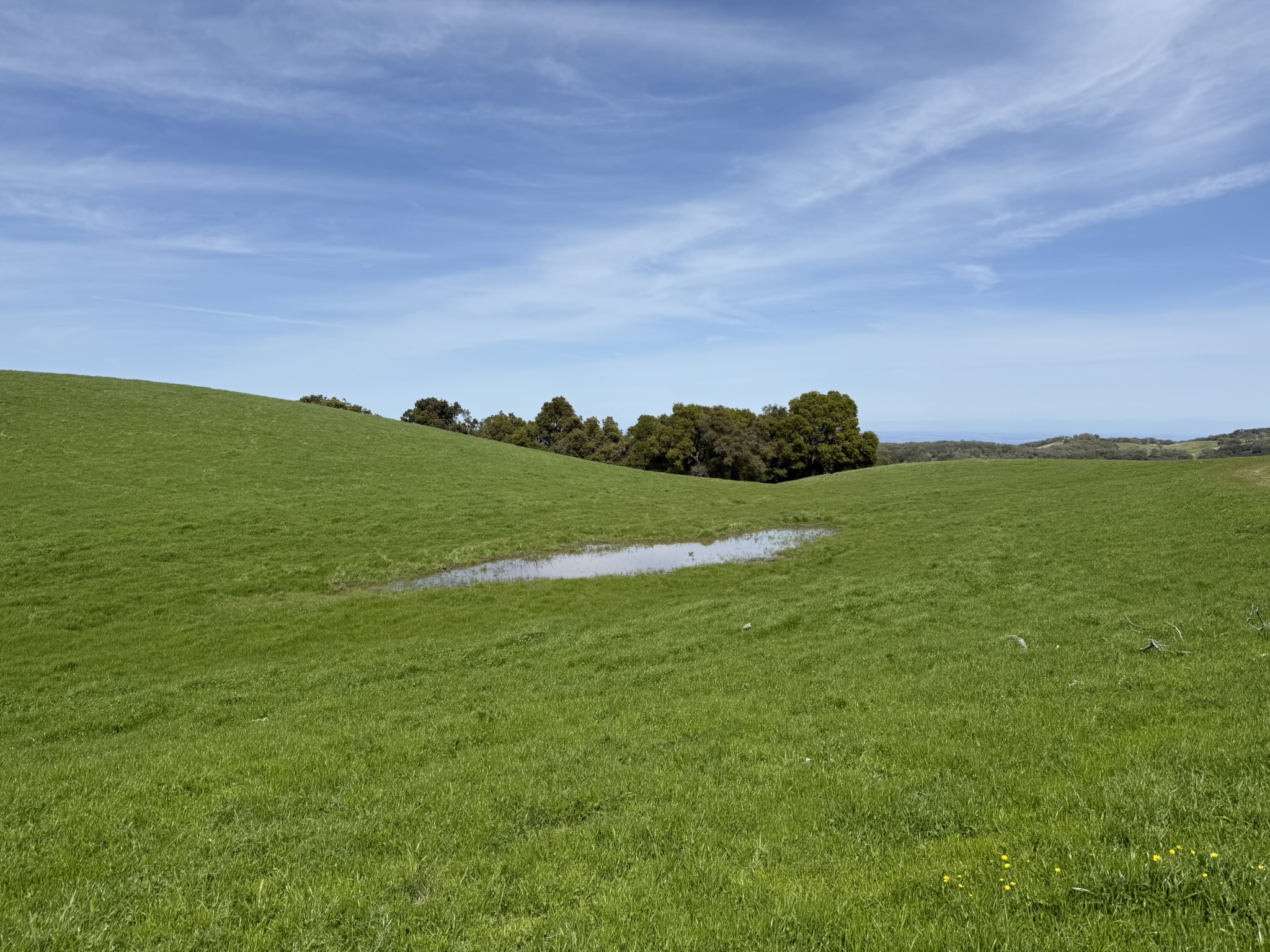 Morgan Territory Regional Preserve