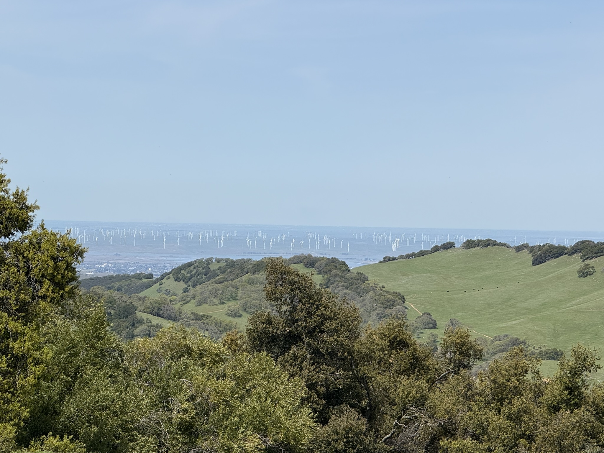 Morgan Territory Regional Preserve