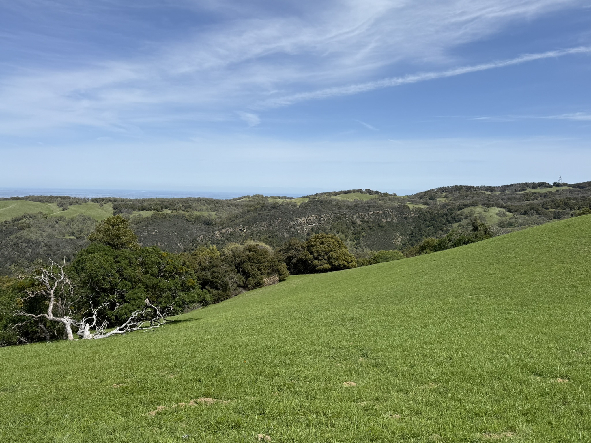 Morgan Territory Regional Preserve