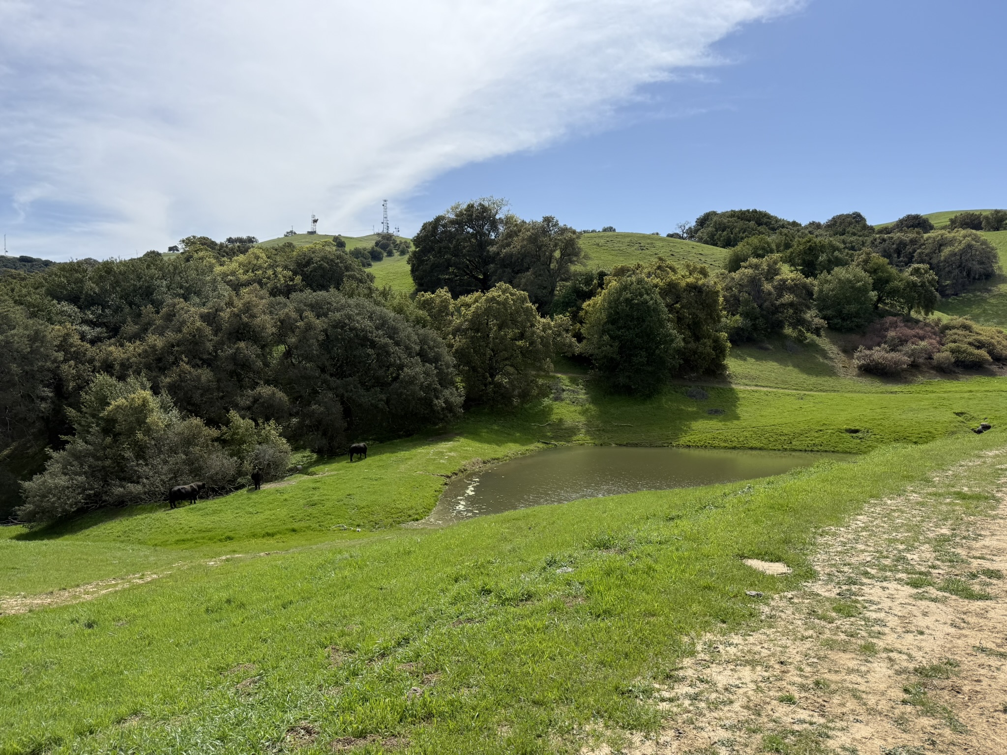 Morgan Territory Regional Preserve
