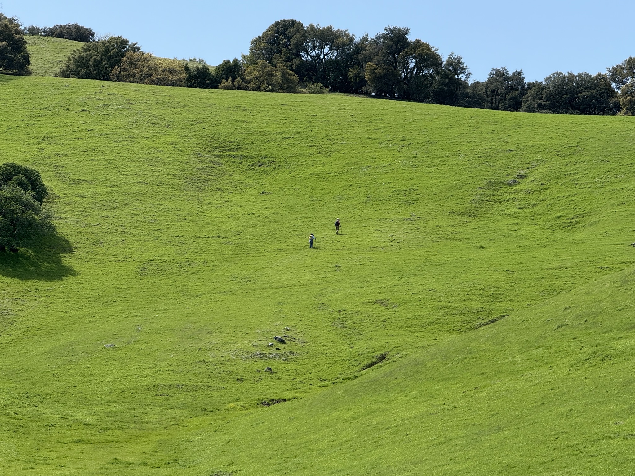 Morgan Territory Regional Preserve