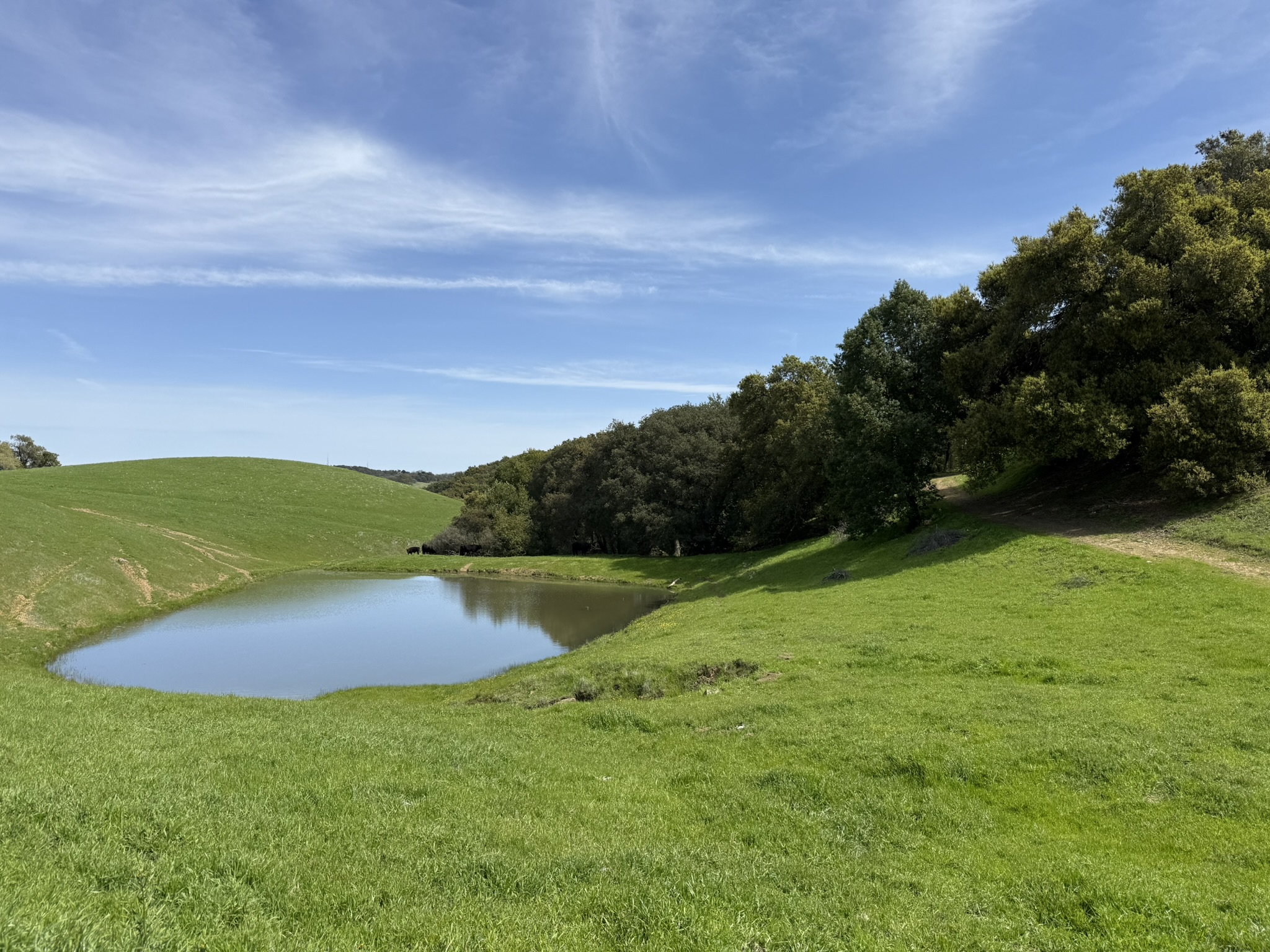 Morgan Territory Regional Preserve