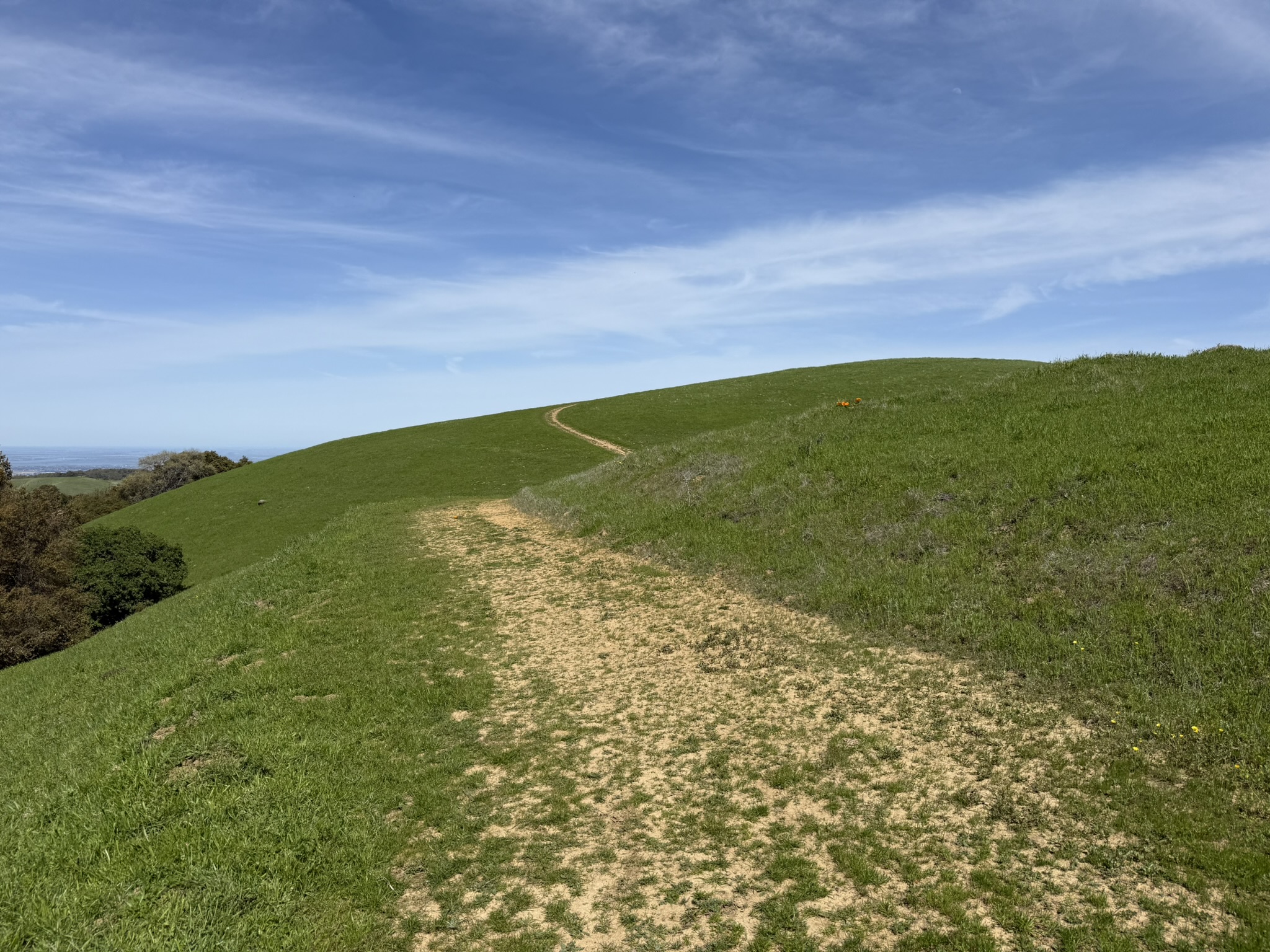 Morgan Territory Regional Preserve