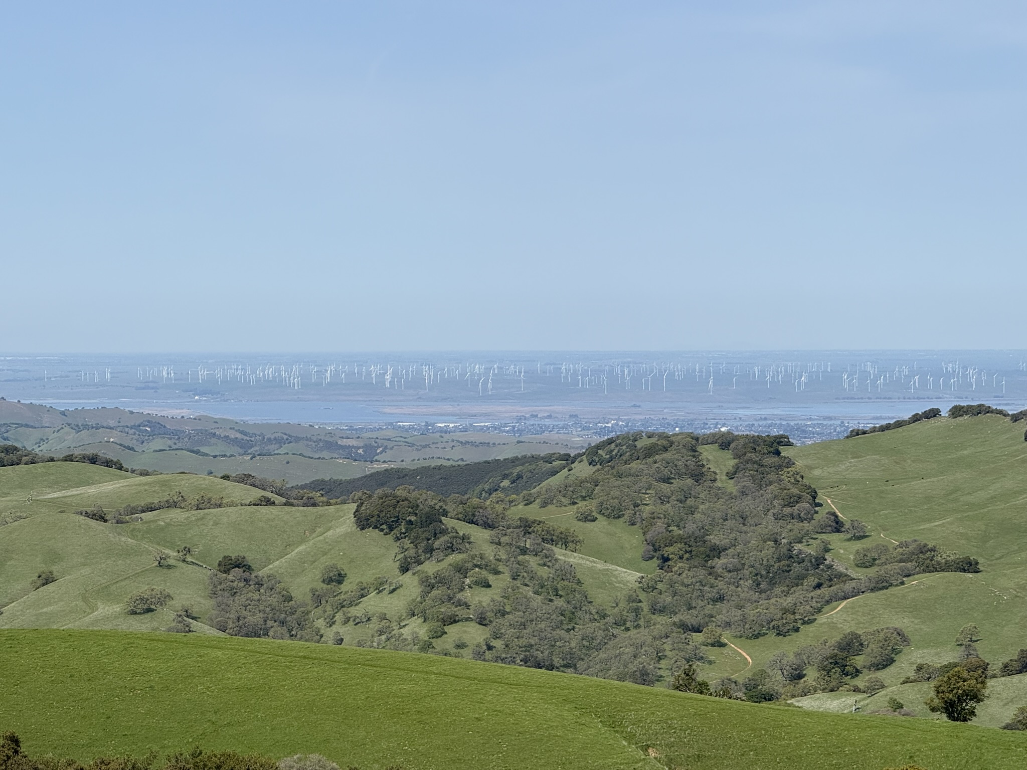 Morgan Territory Regional Preserve