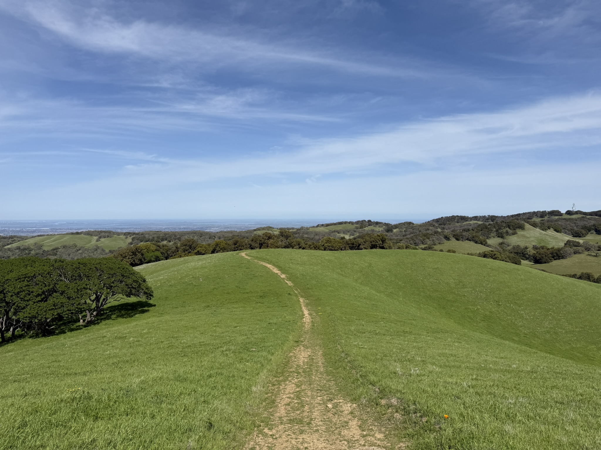 Morgan Territory Regional Preserve