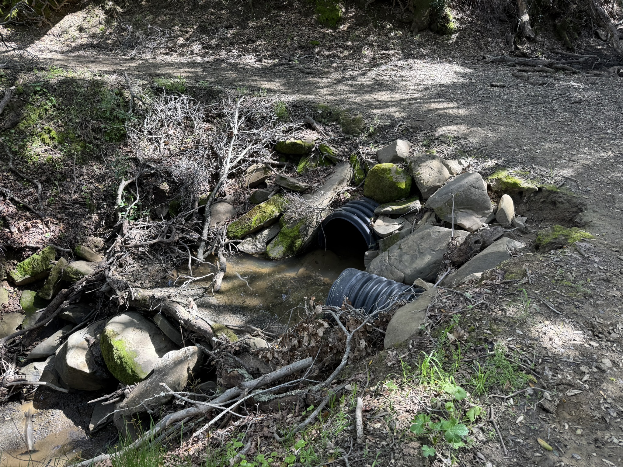 Morgan Territory Regional Preserve