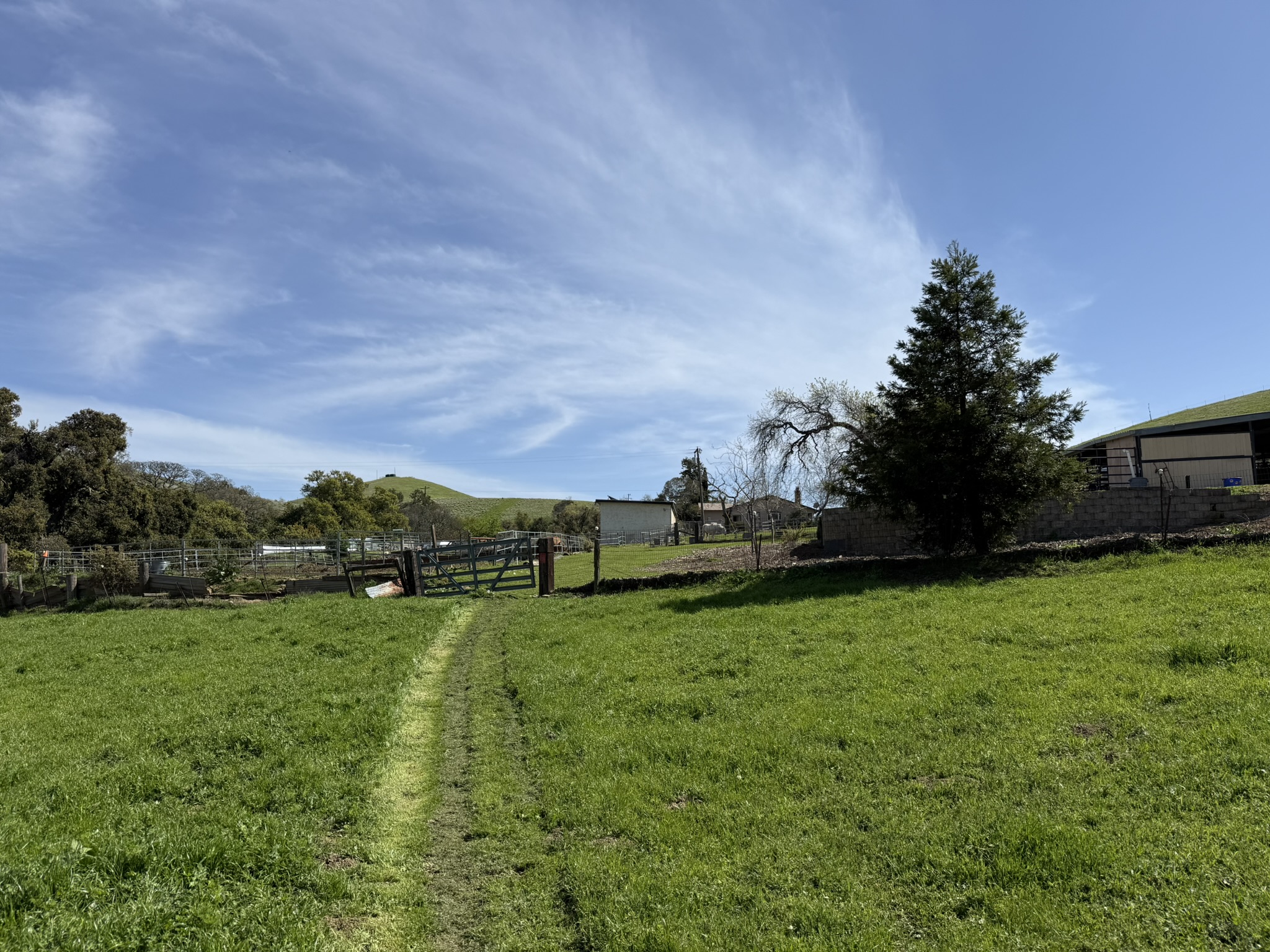 Morgan Territory Regional Preserve