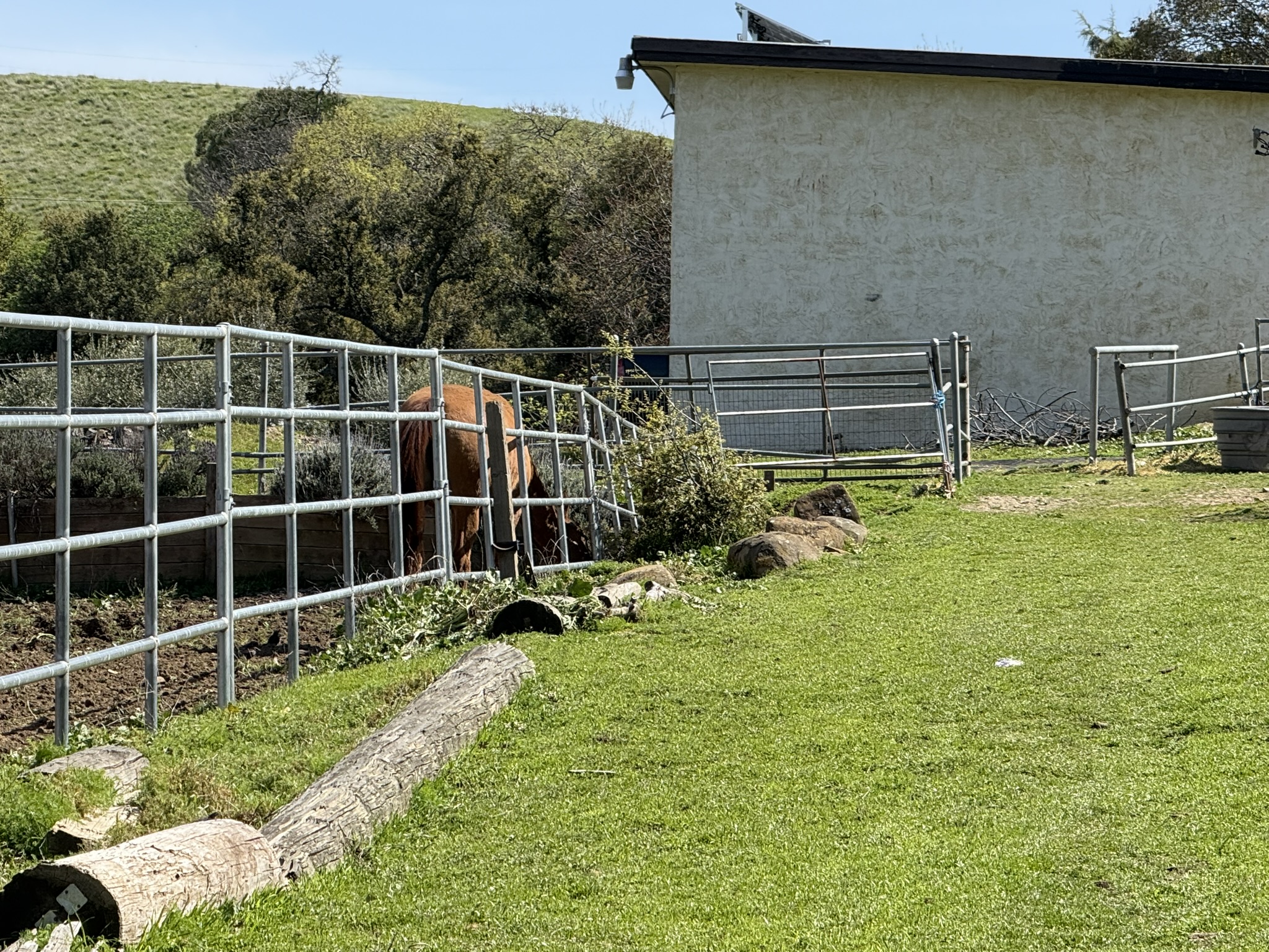 Morgan Territory Regional Preserve
