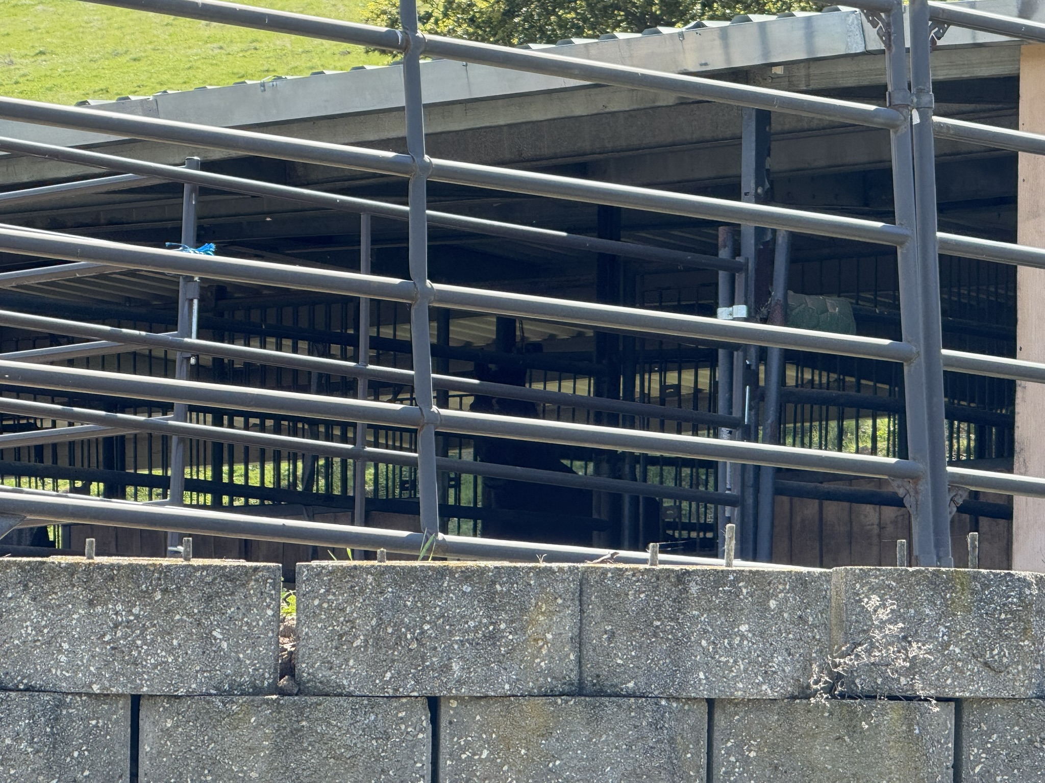 Morgan Territory Regional Preserve