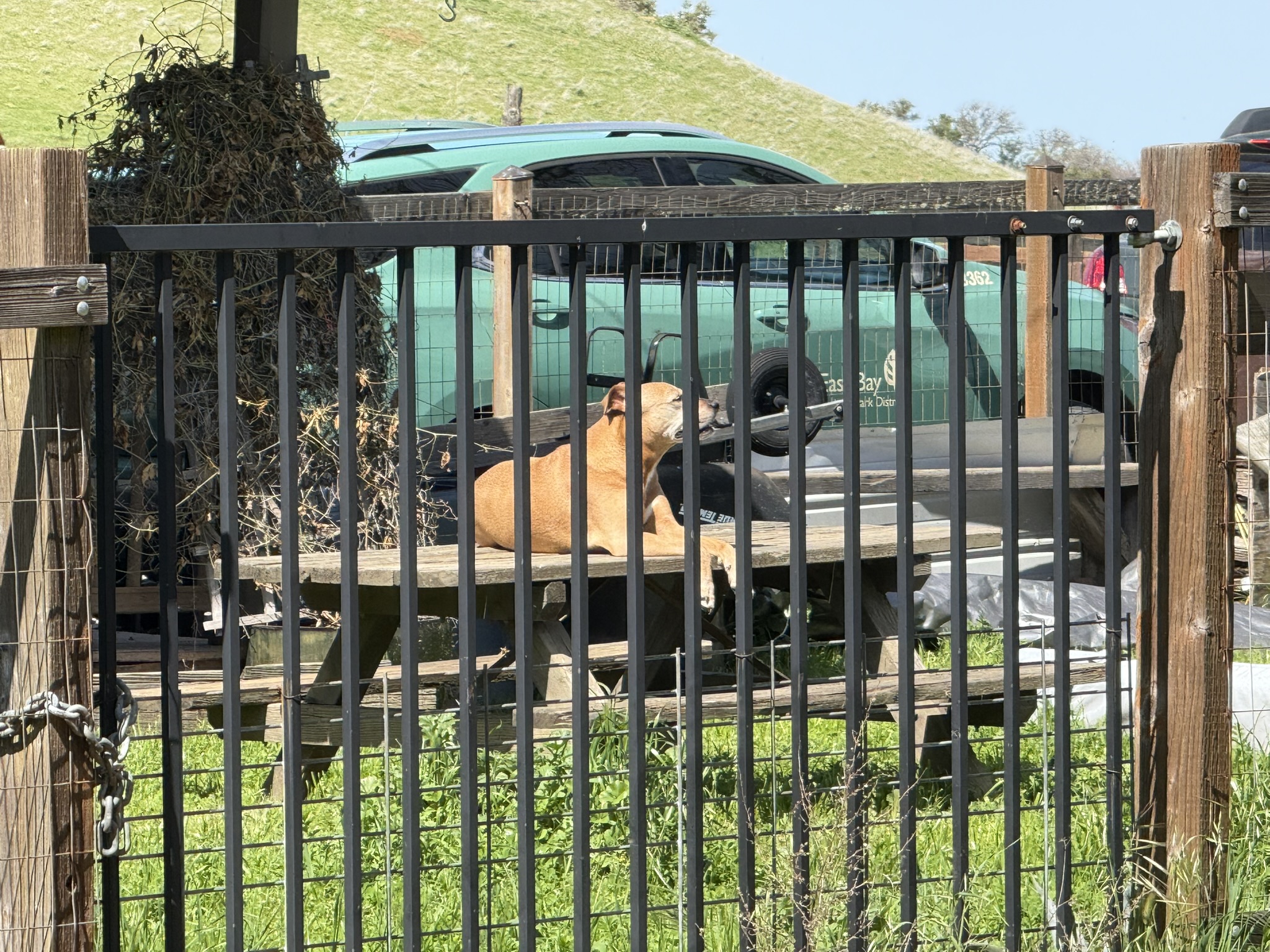 Morgan Territory Regional Preserve