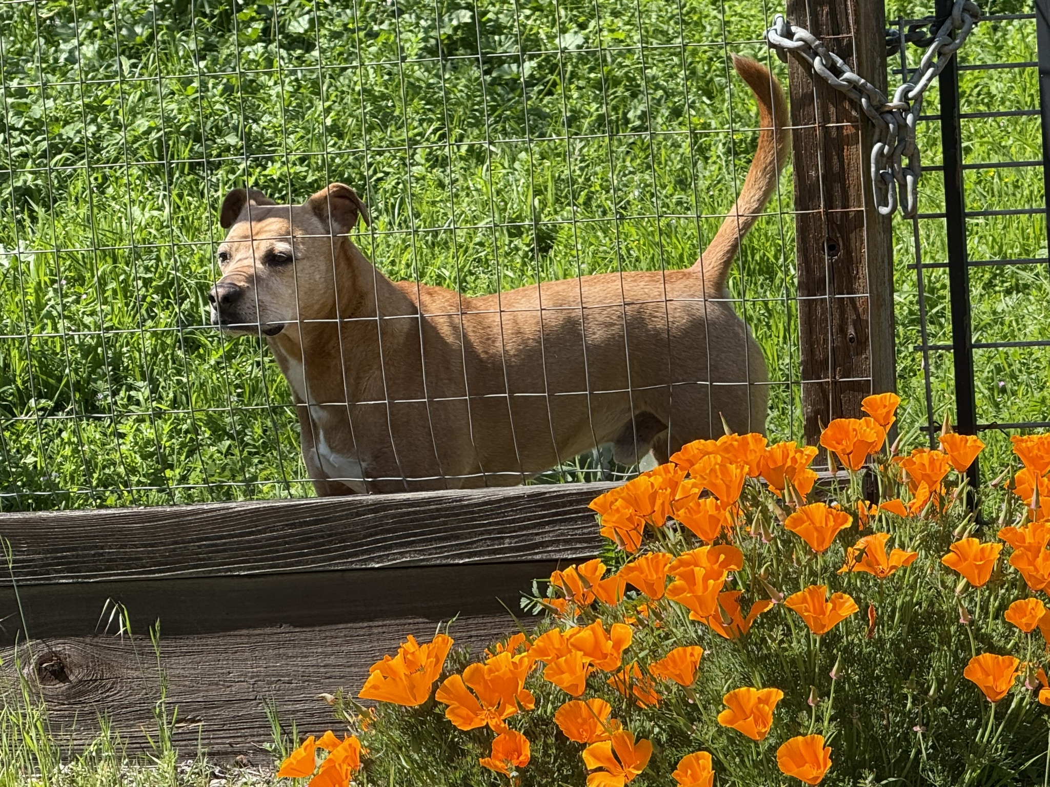 Morgan Territory Regional Preserve