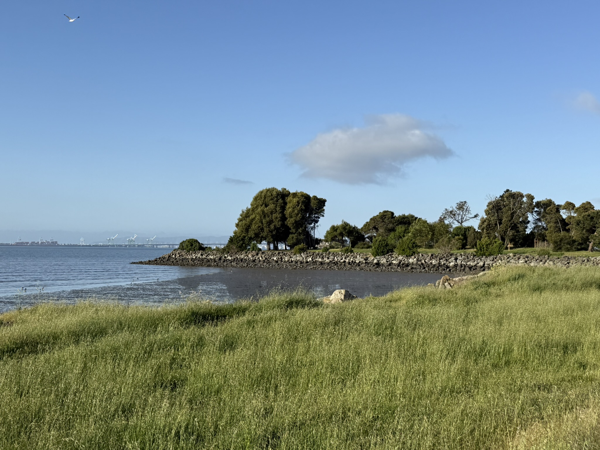Brooks Island Regional Preserve