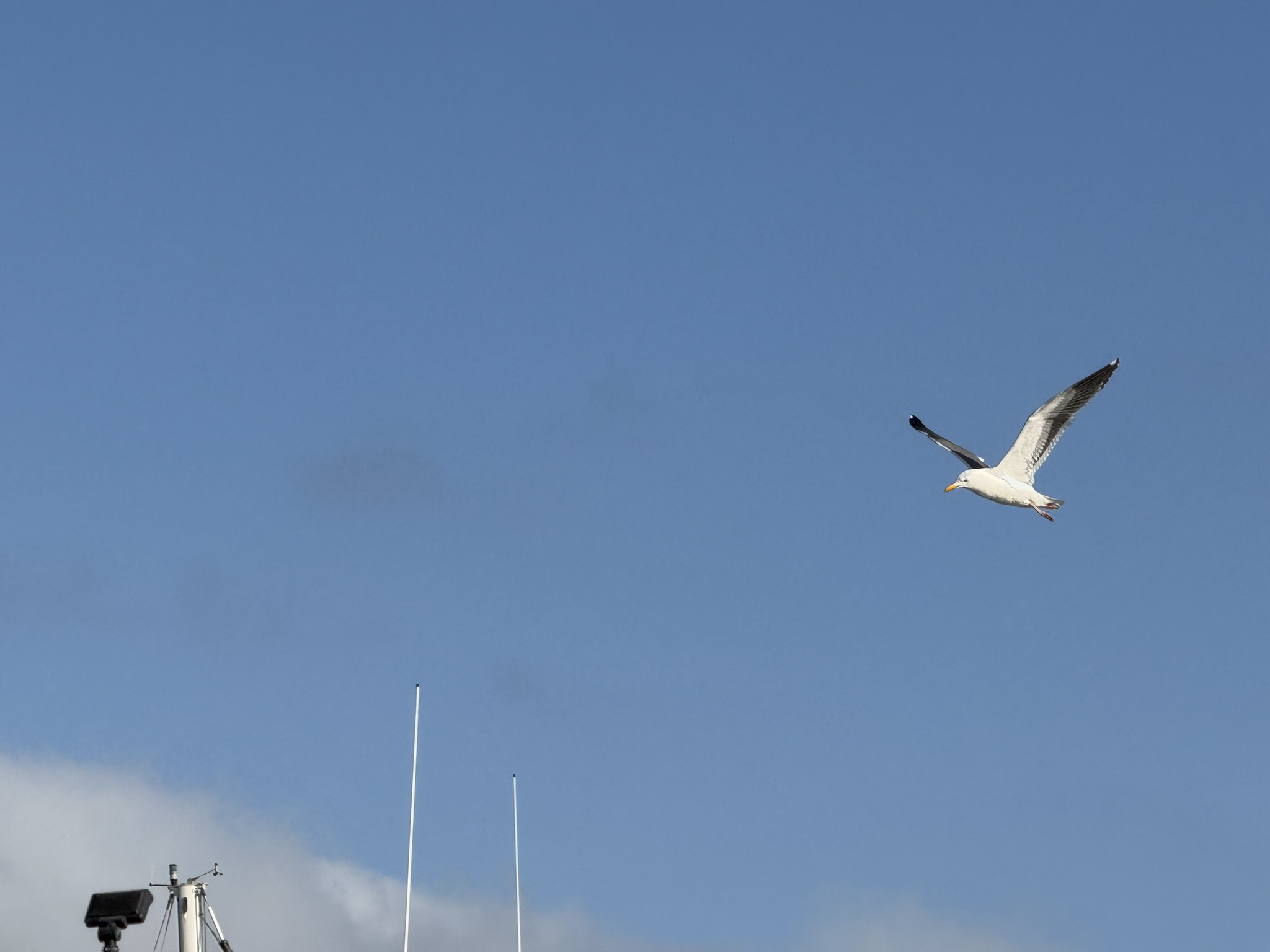 Brooks Island Regional Preserve