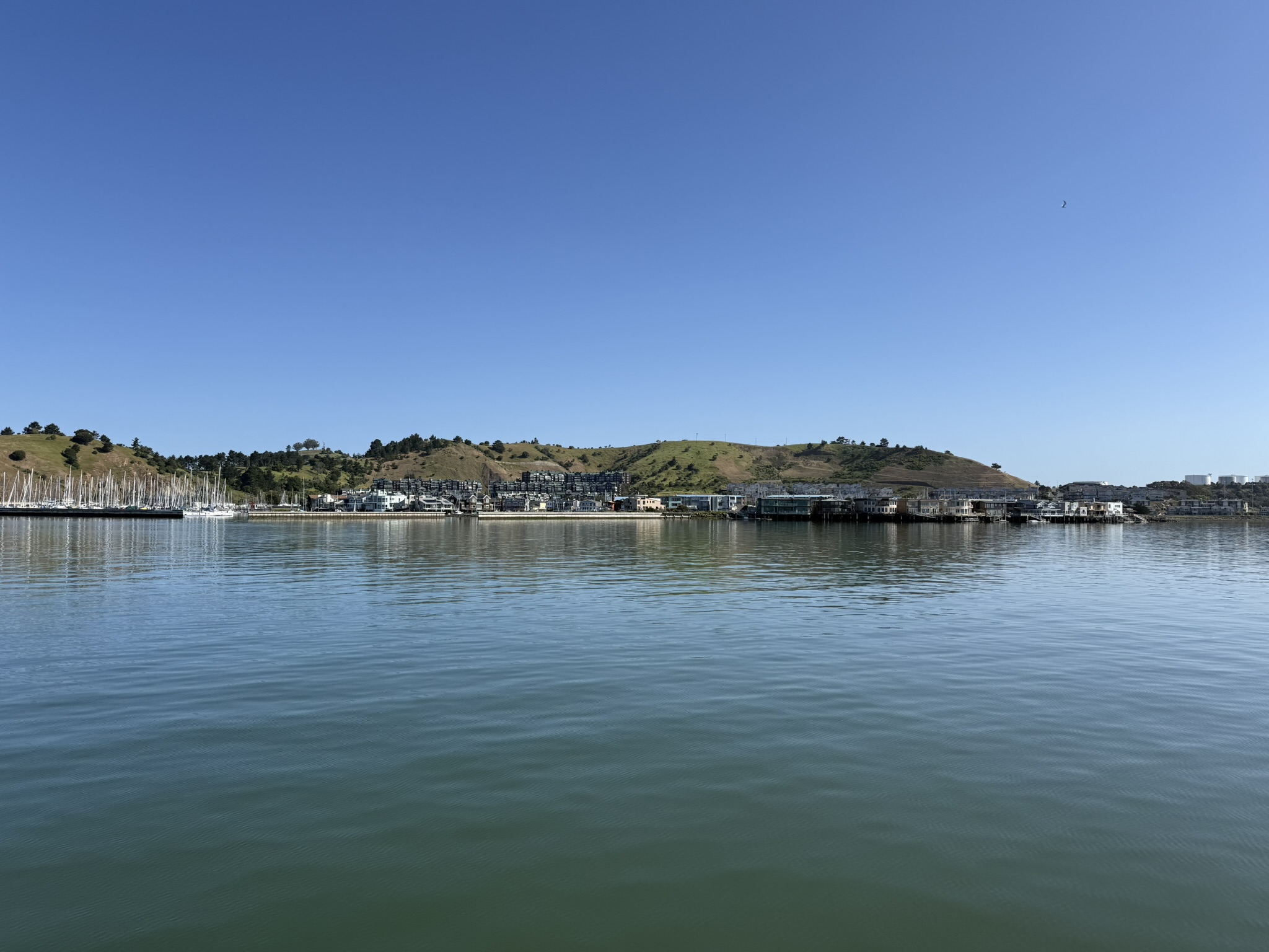 Brooks Island Regional Preserve