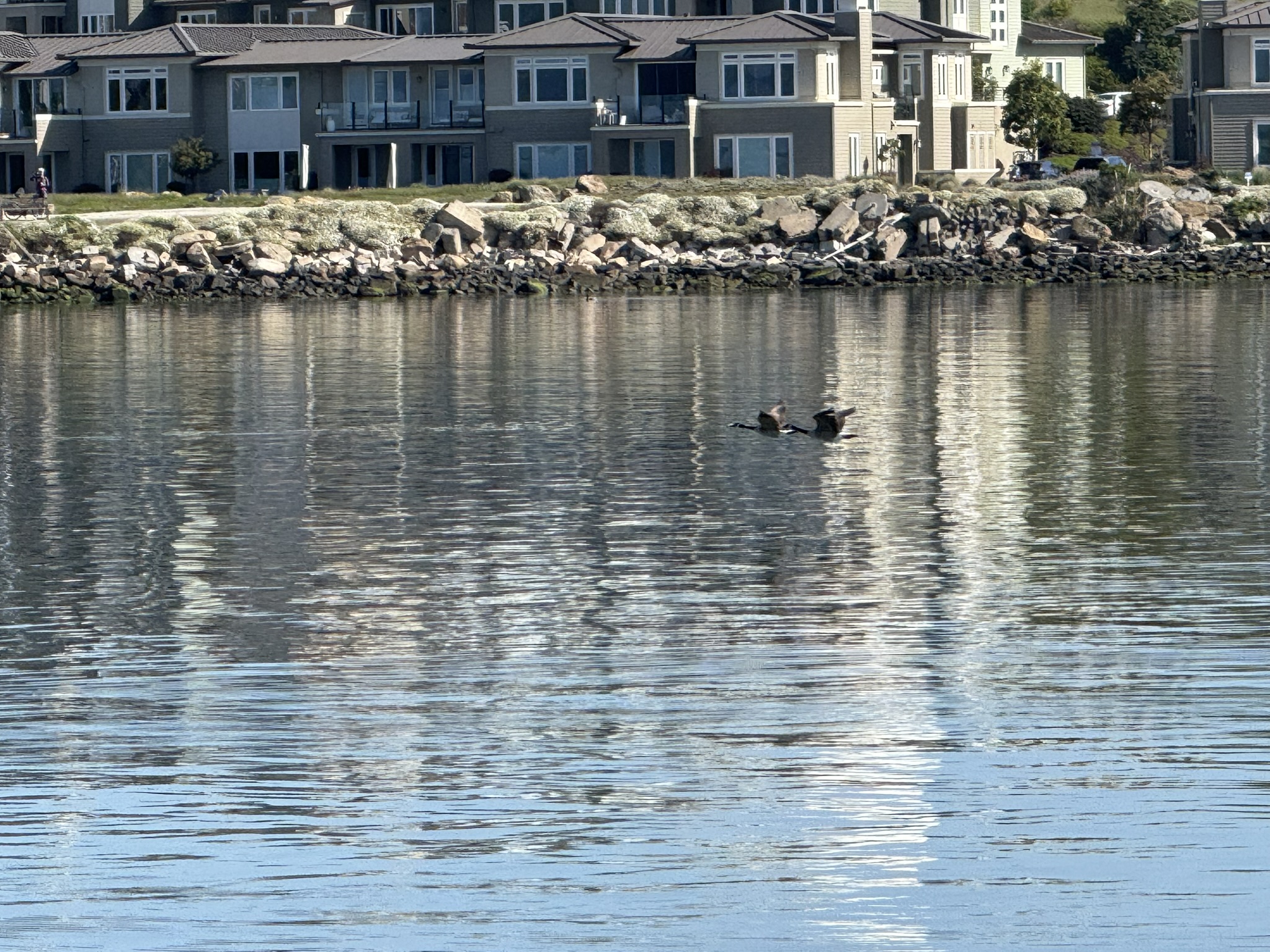 Brooks Island Regional Preserve