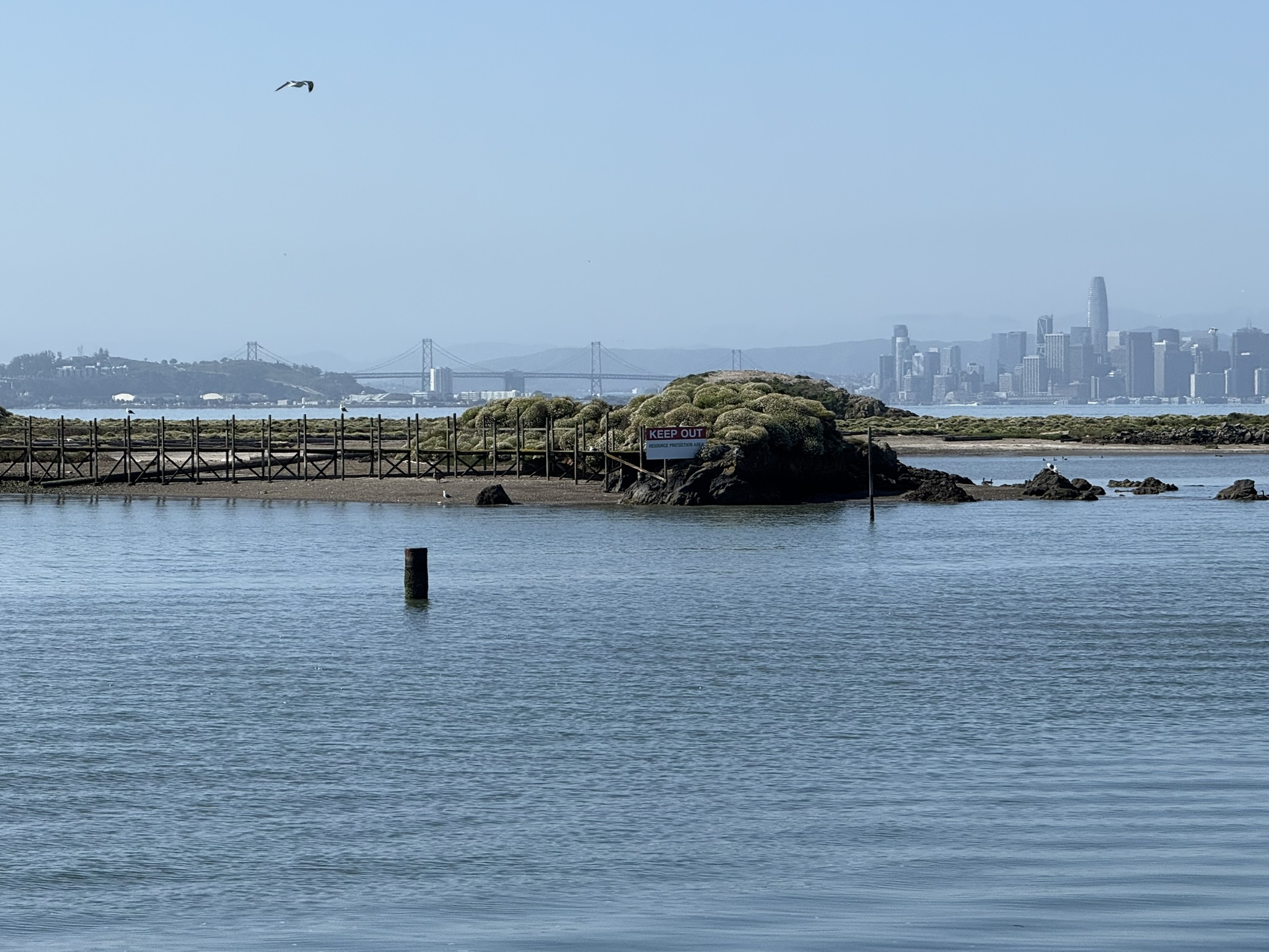 Brooks Island Regional Preserve